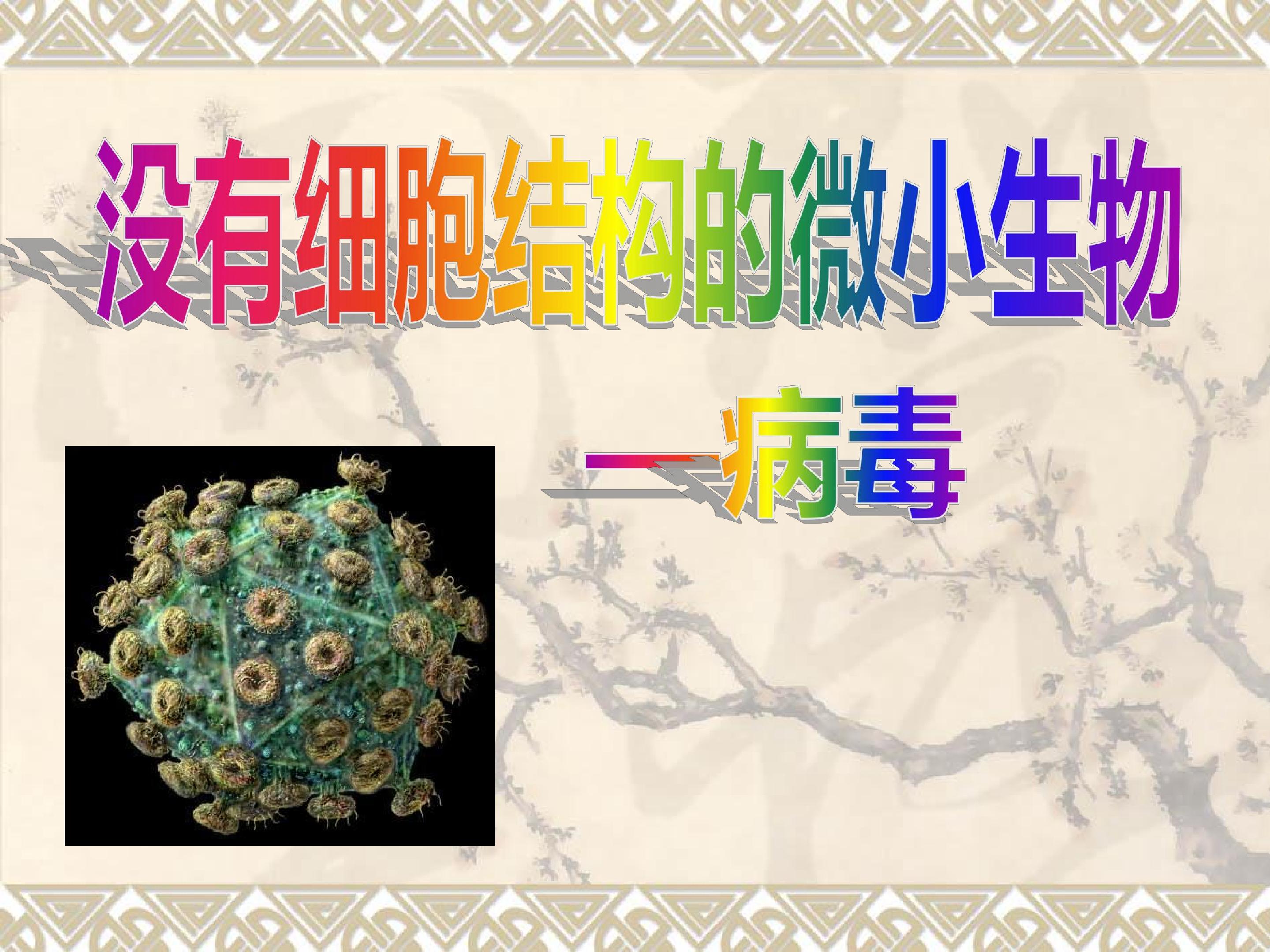 没有细胞结构的生物——病毒