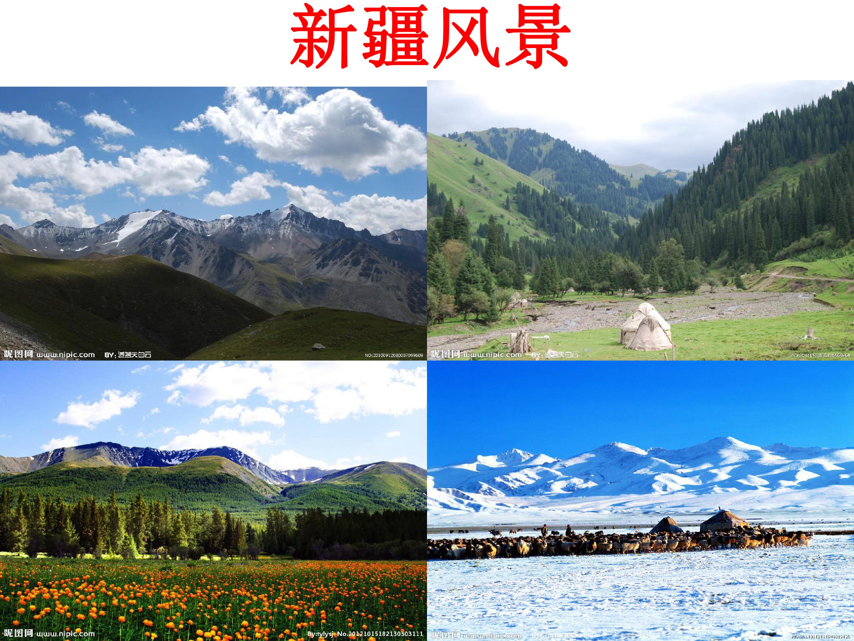 3.jpg