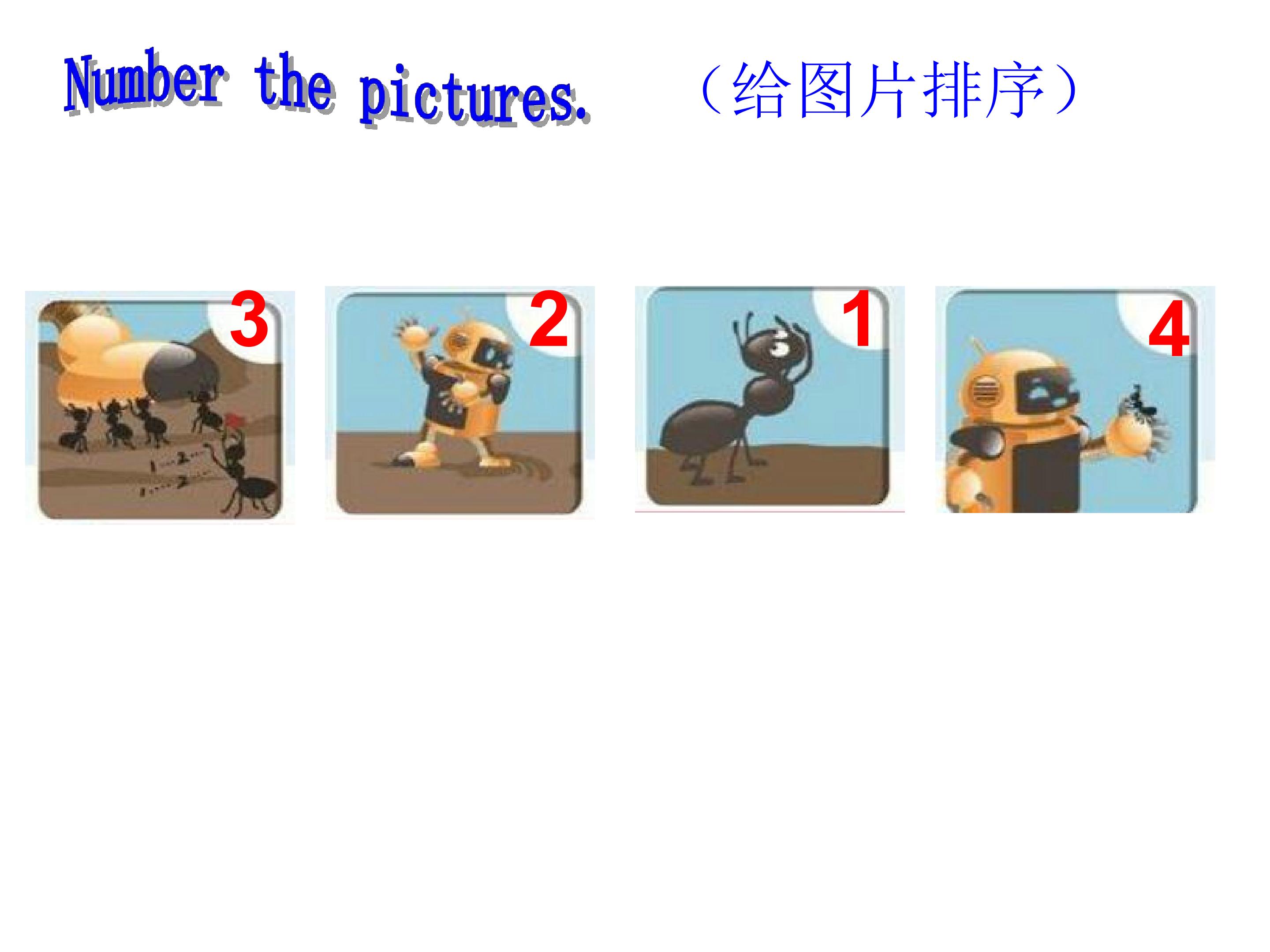 17.jpg