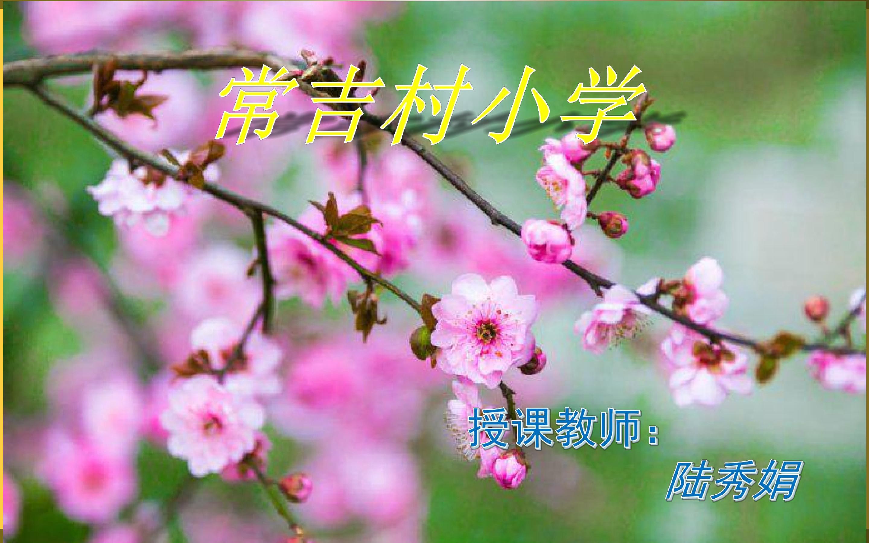 春夏秋冬