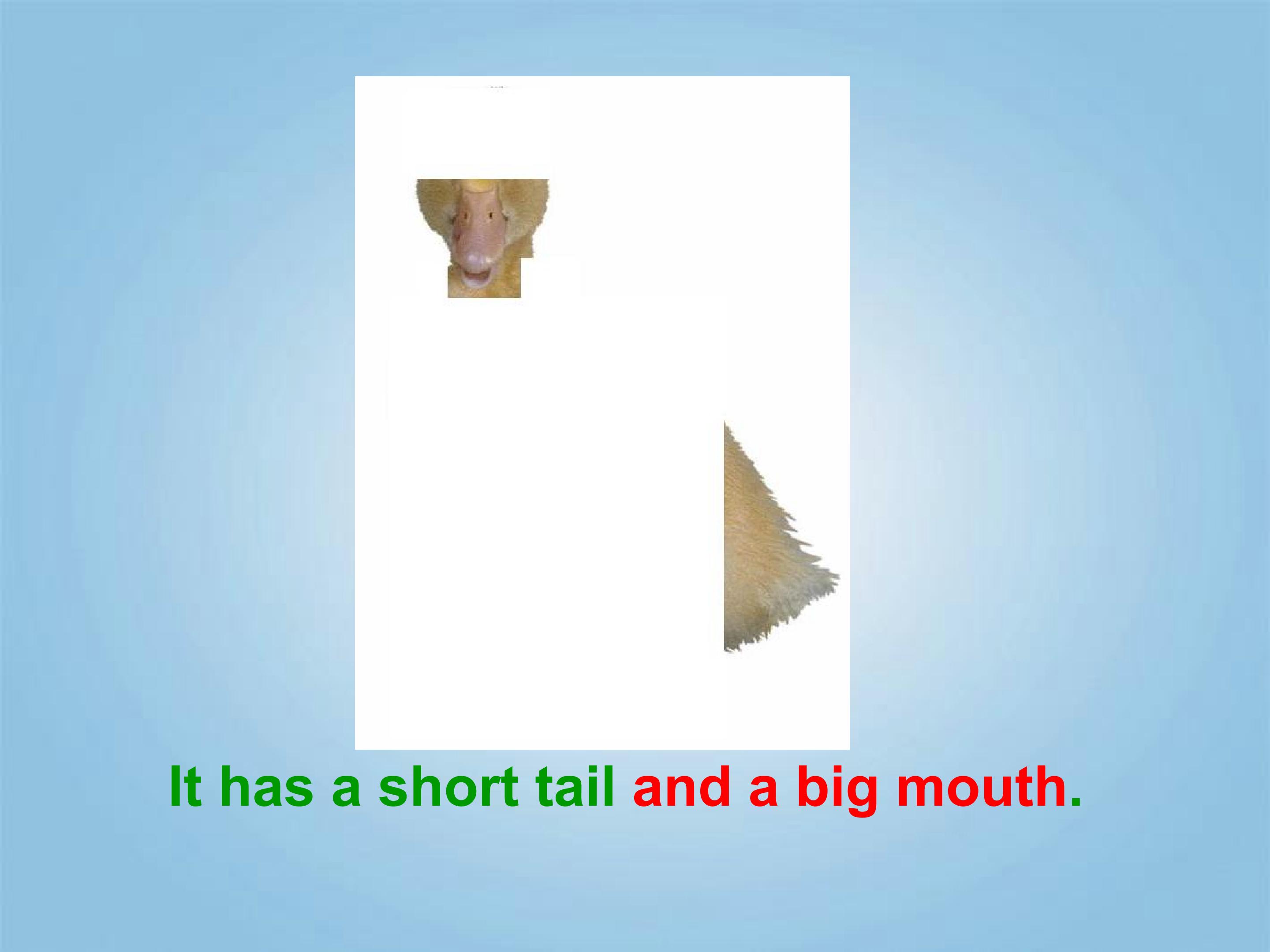 18.jpg
