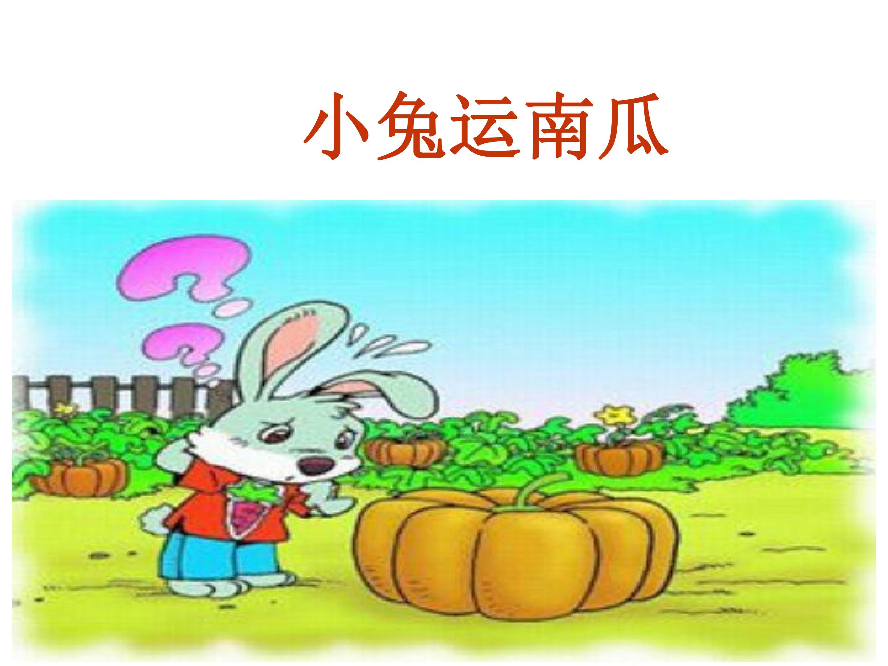 小兔运南瓜