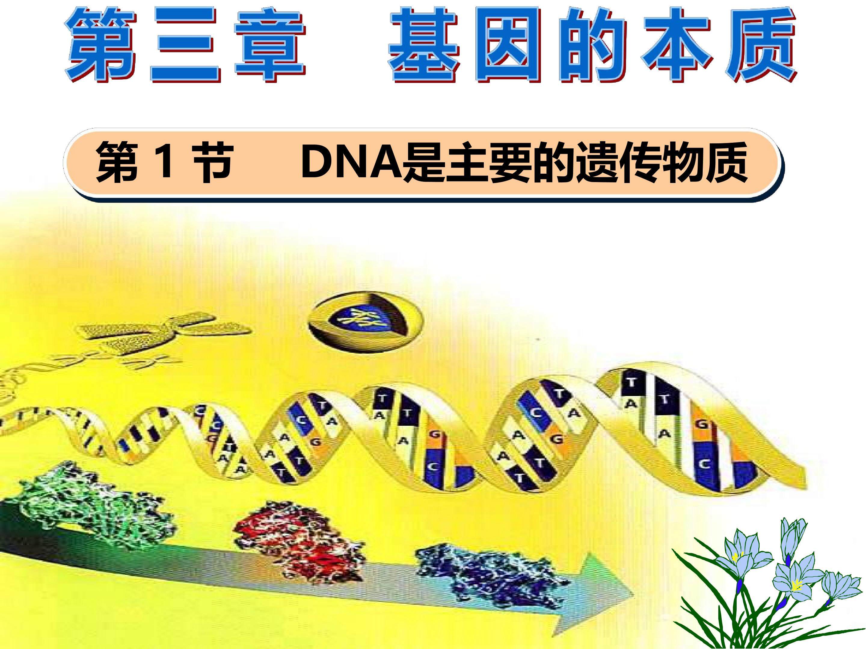 3-1 DNA是主要的遗传物质