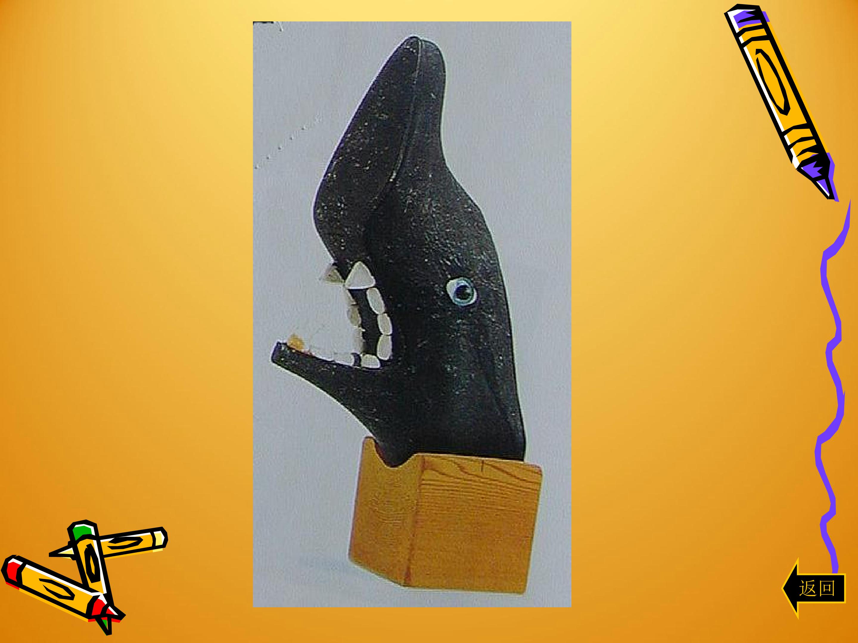 118.jpg