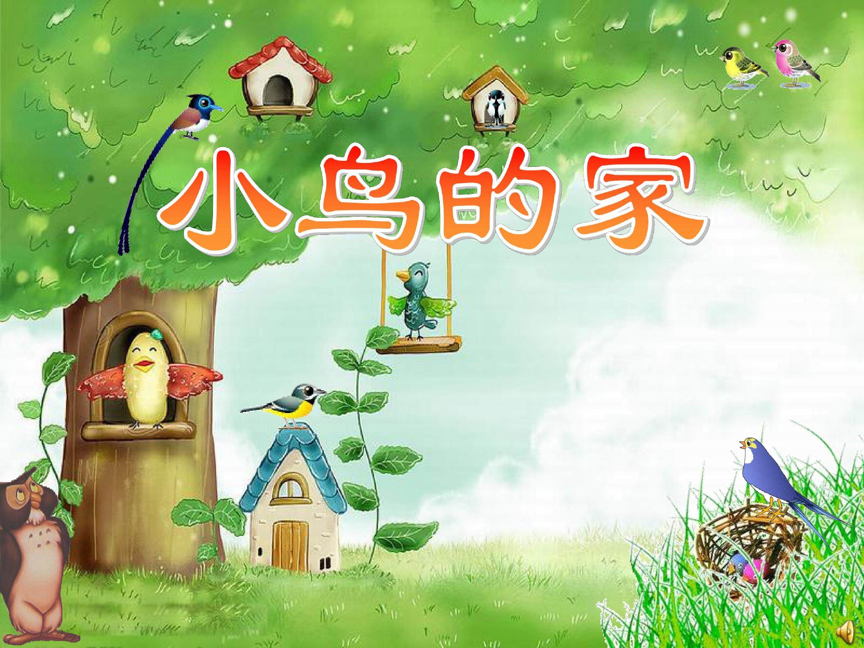 小鸟的家