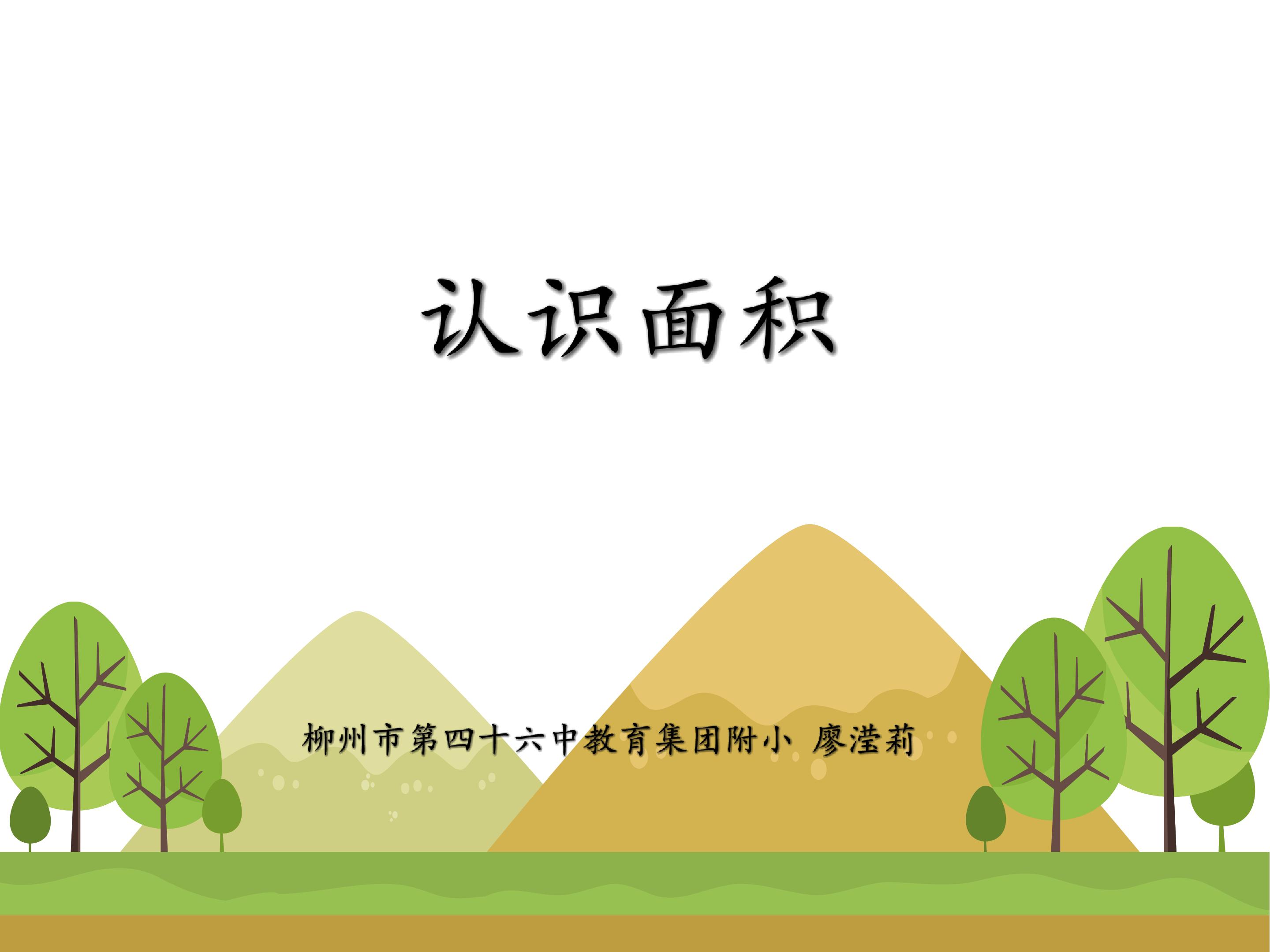 认识面积