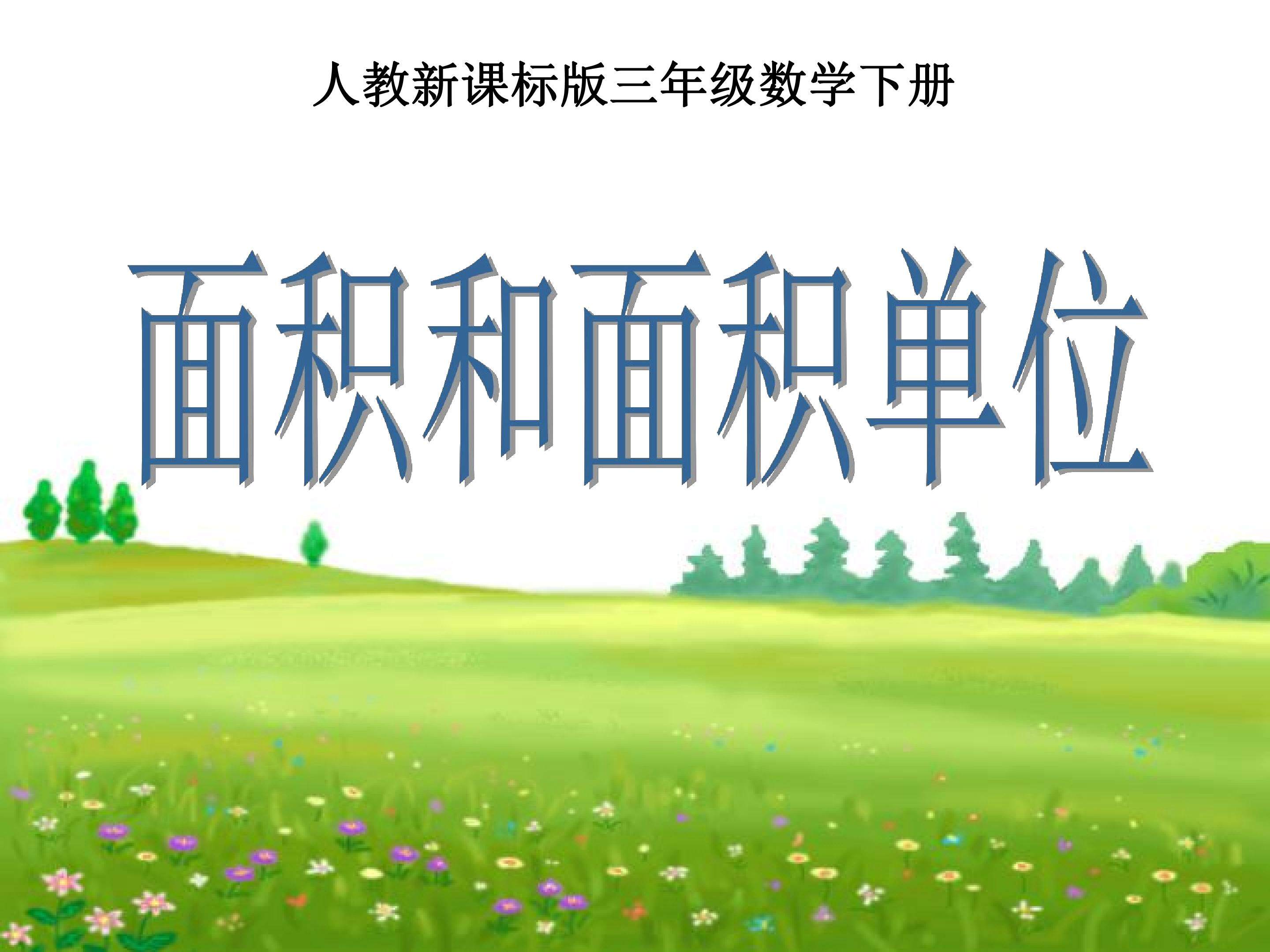 面积和面积单位