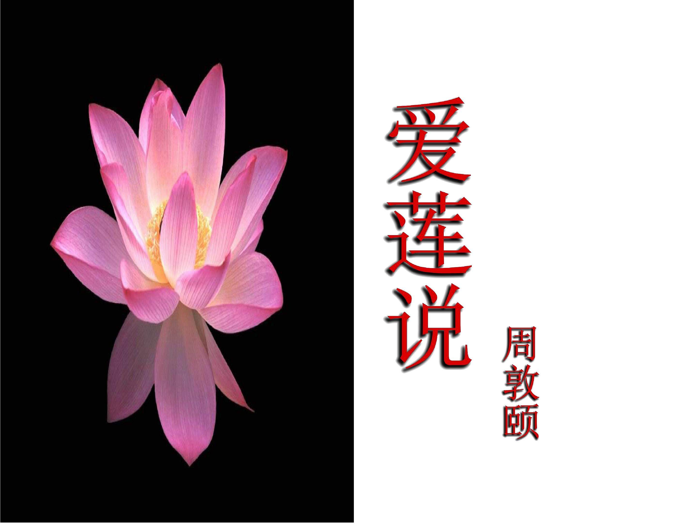爱莲说教学课件