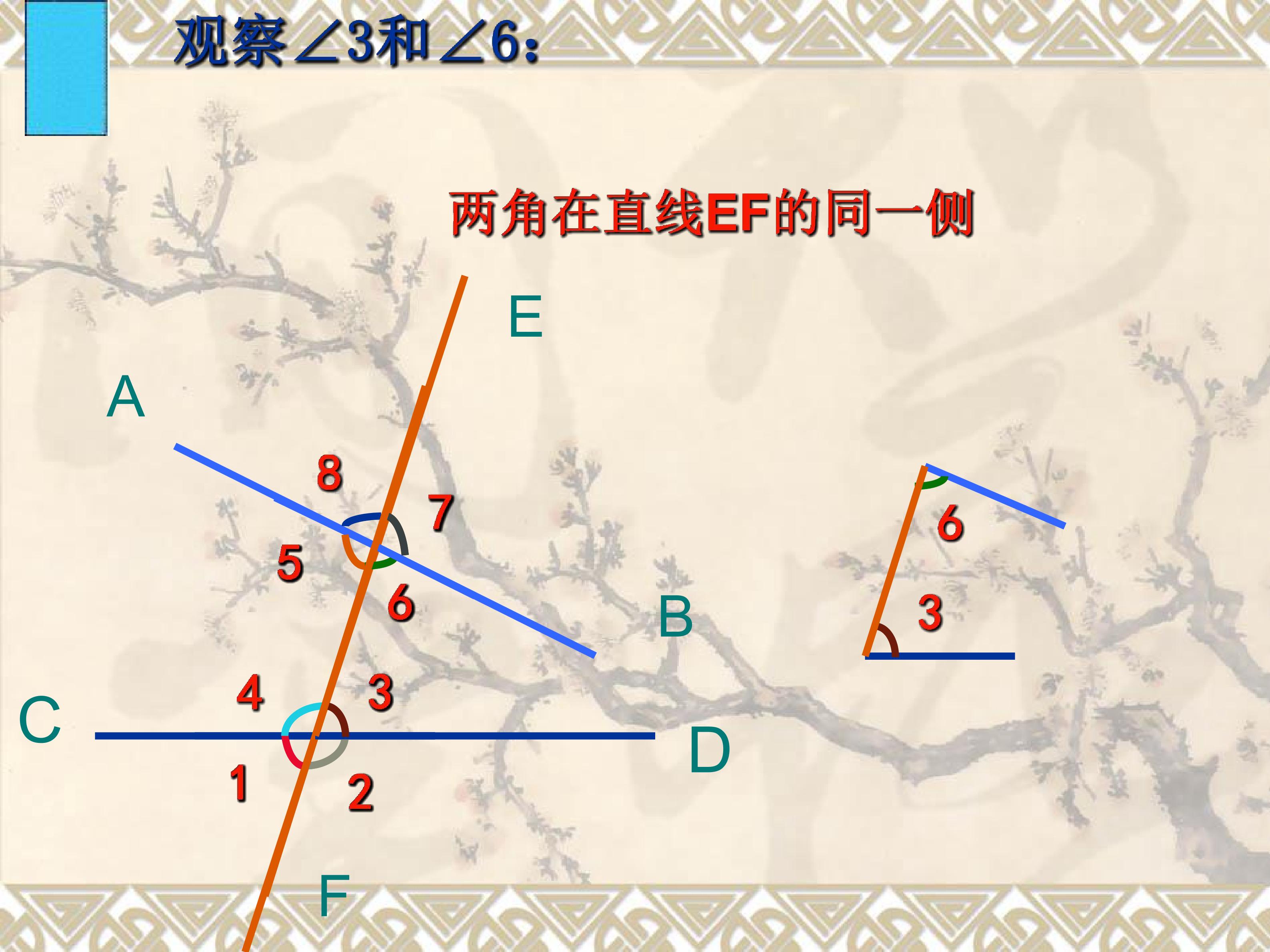 49.jpg