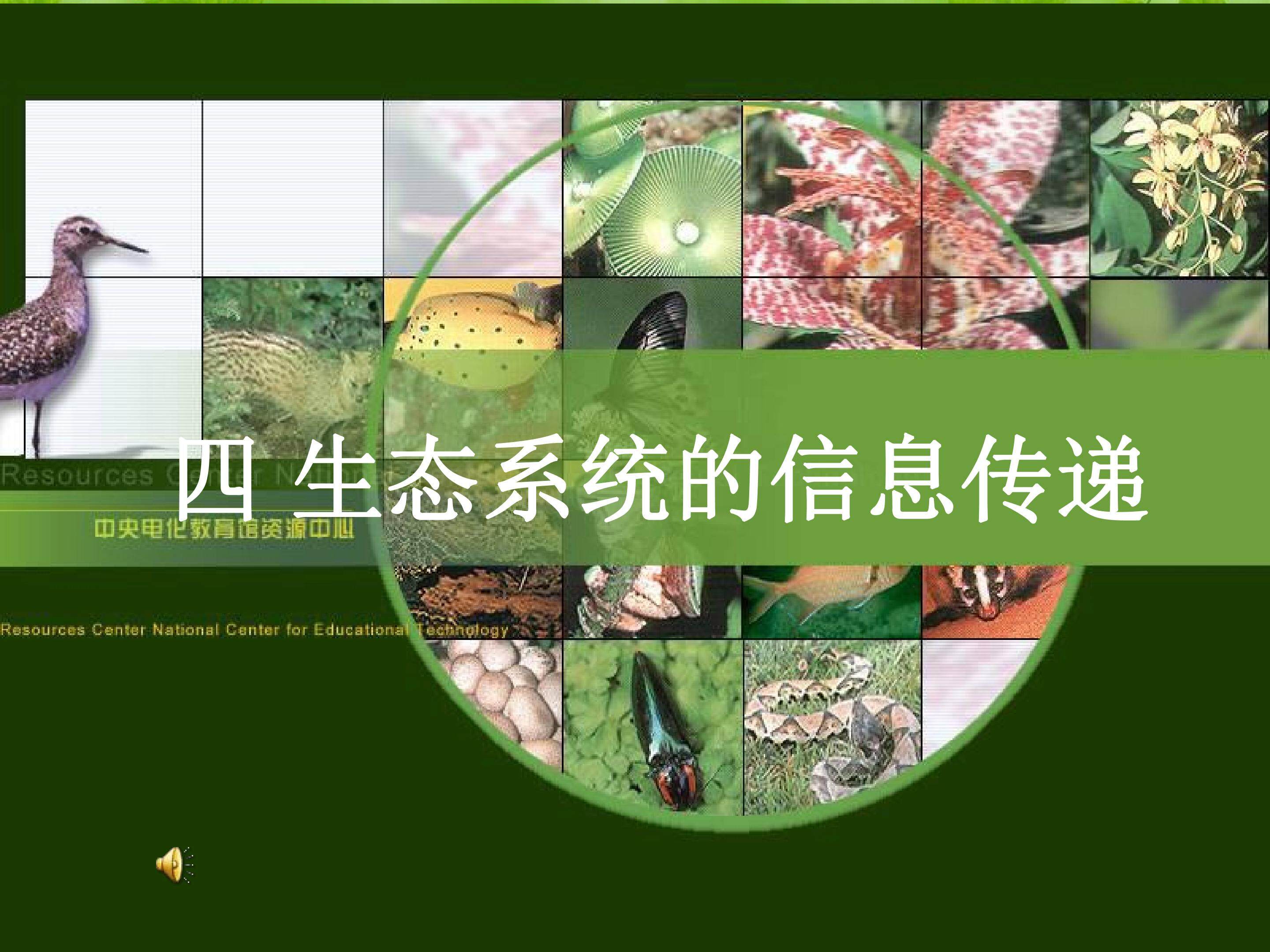 生态系统的信息传递