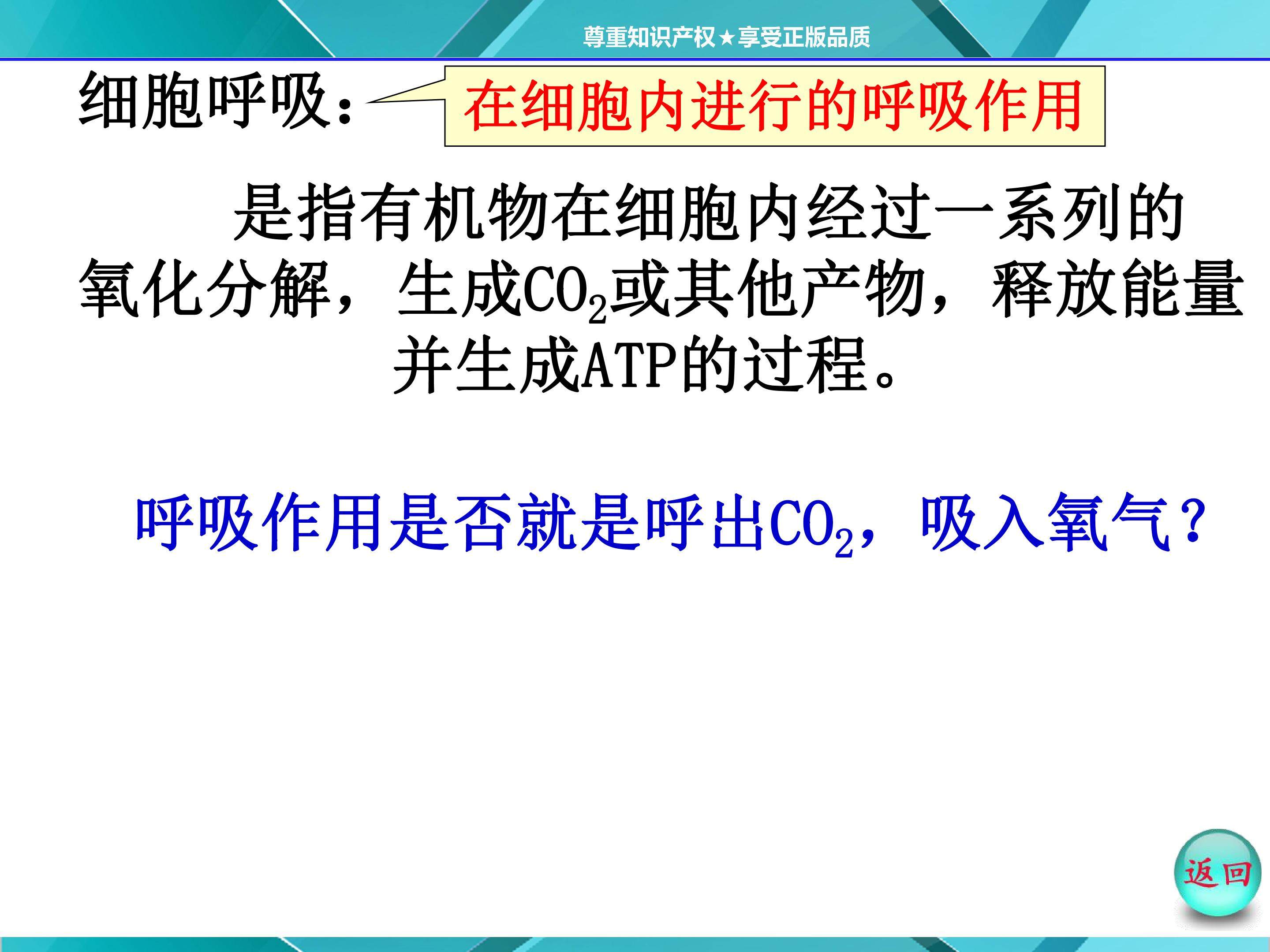 ATP的主要来源——细胞呼吸