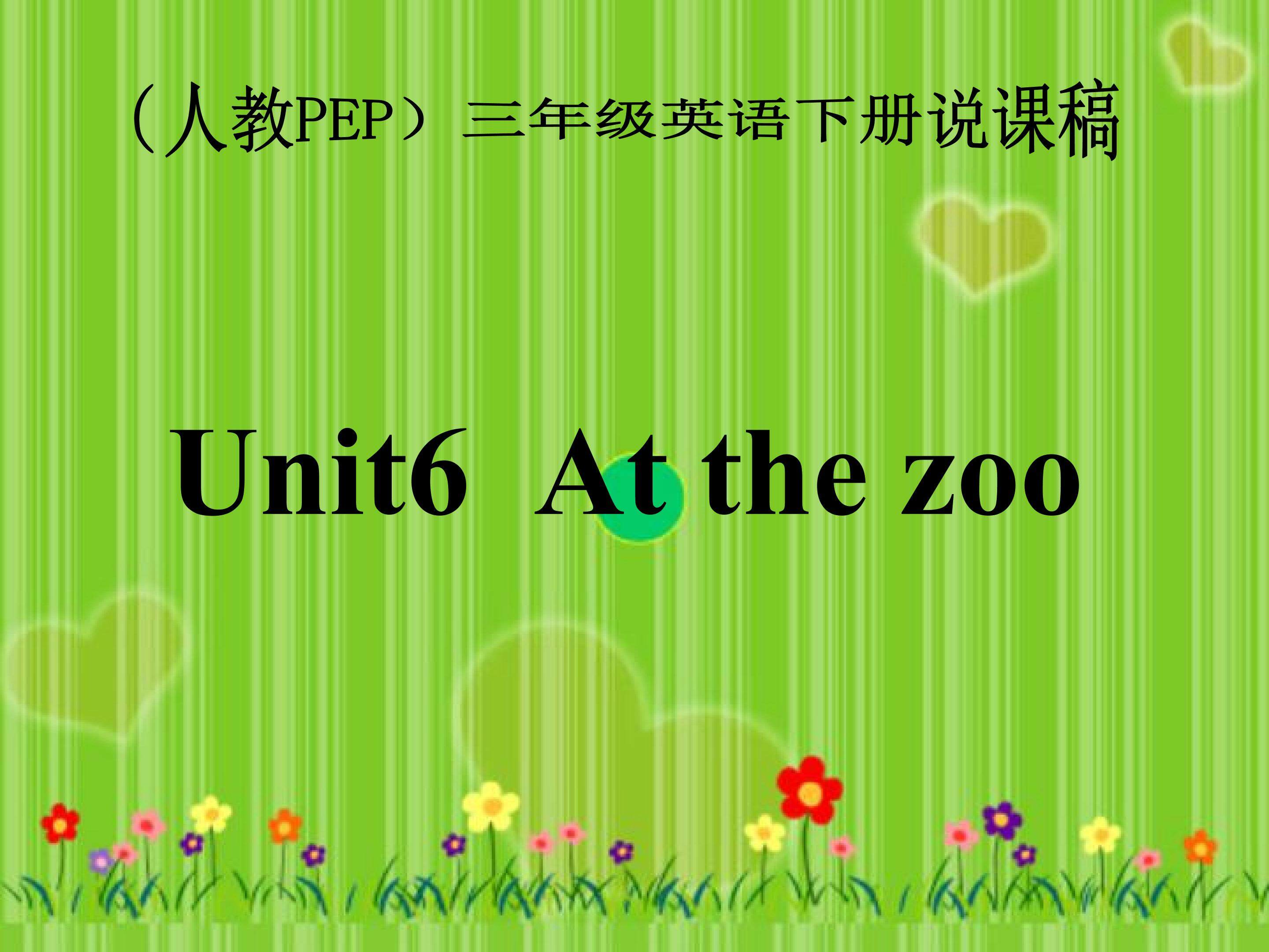 At the Zoo
