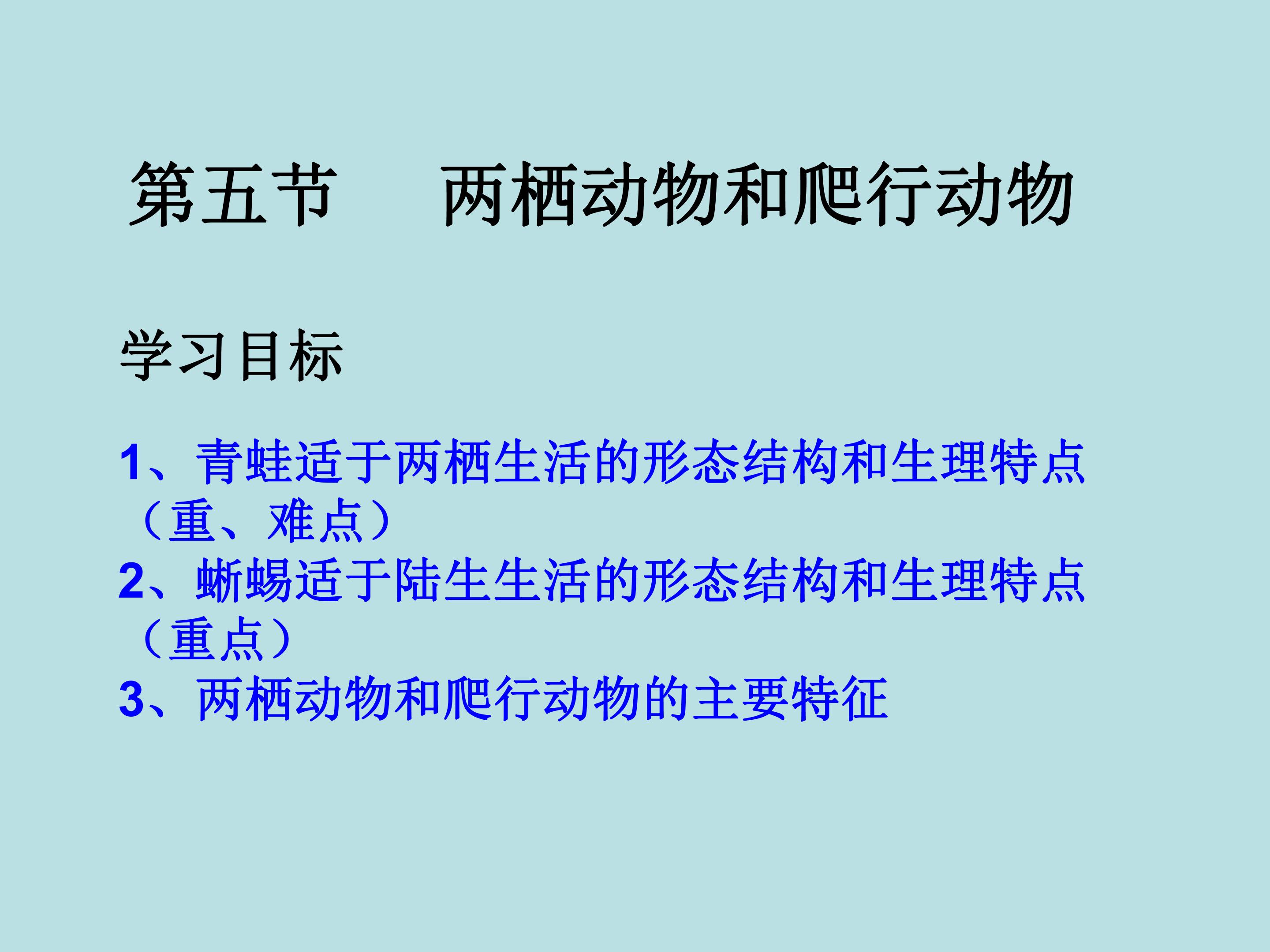 两栖动物和爬行动物