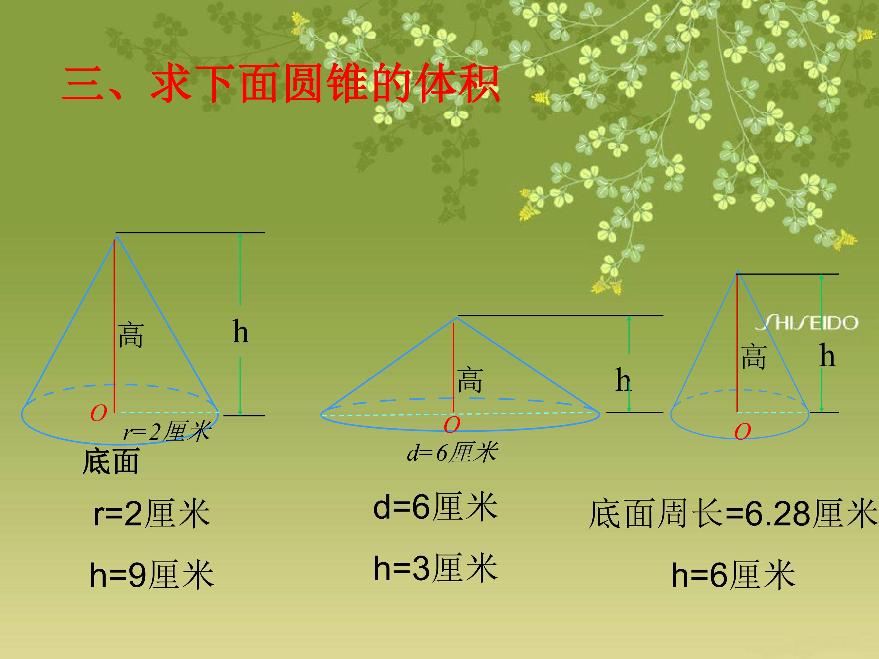 111.jpg