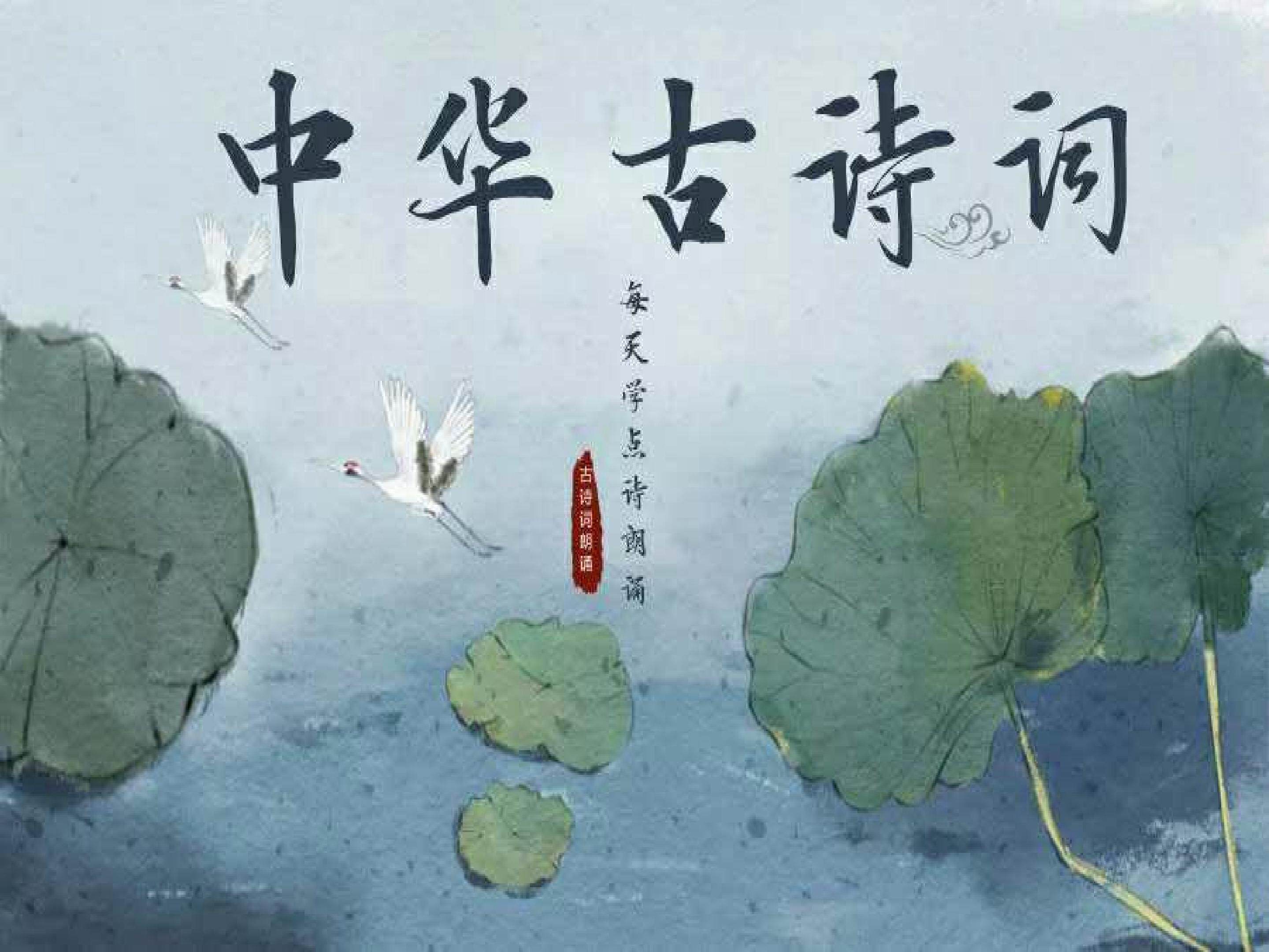 望岳