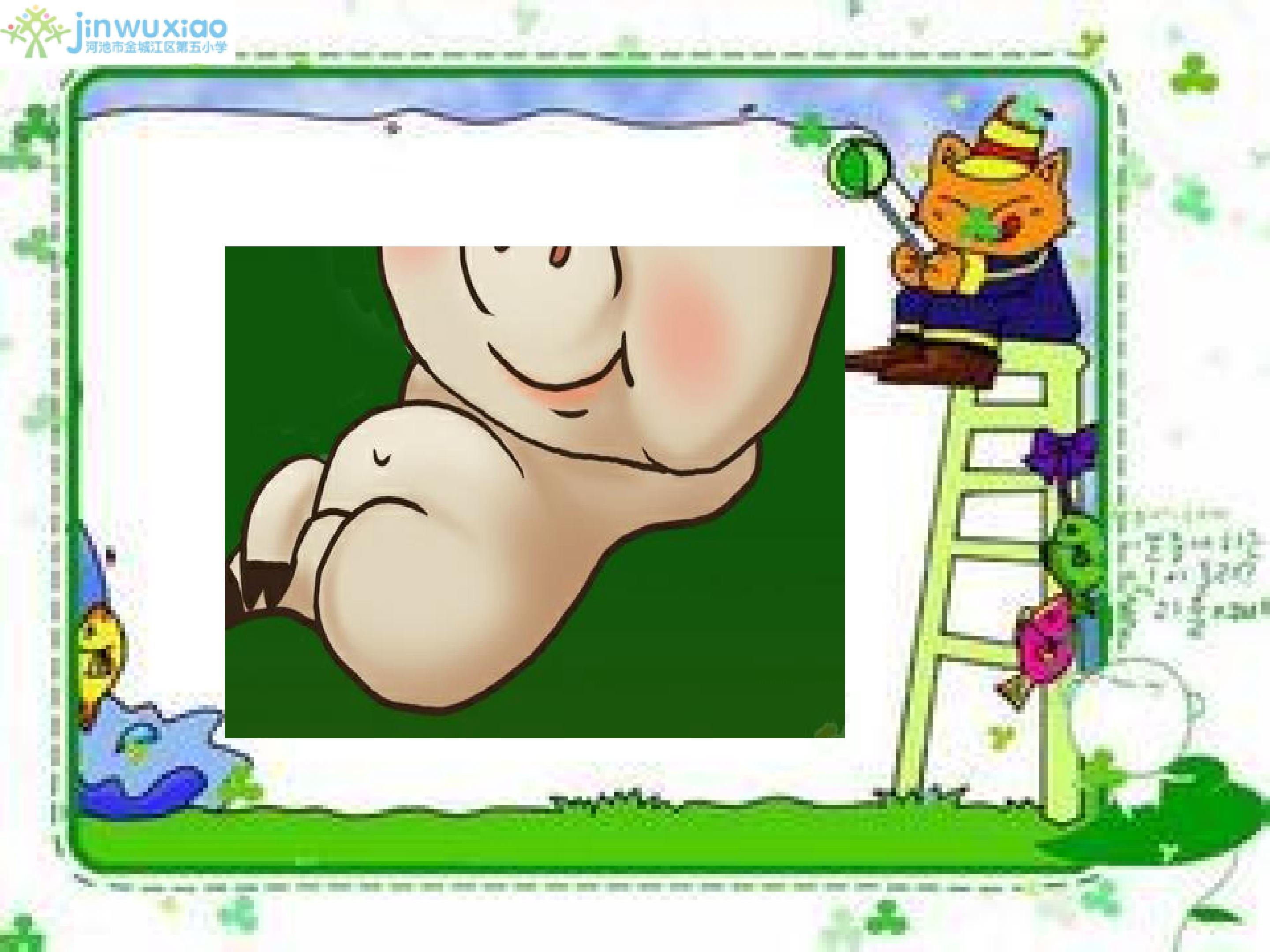 18.jpg