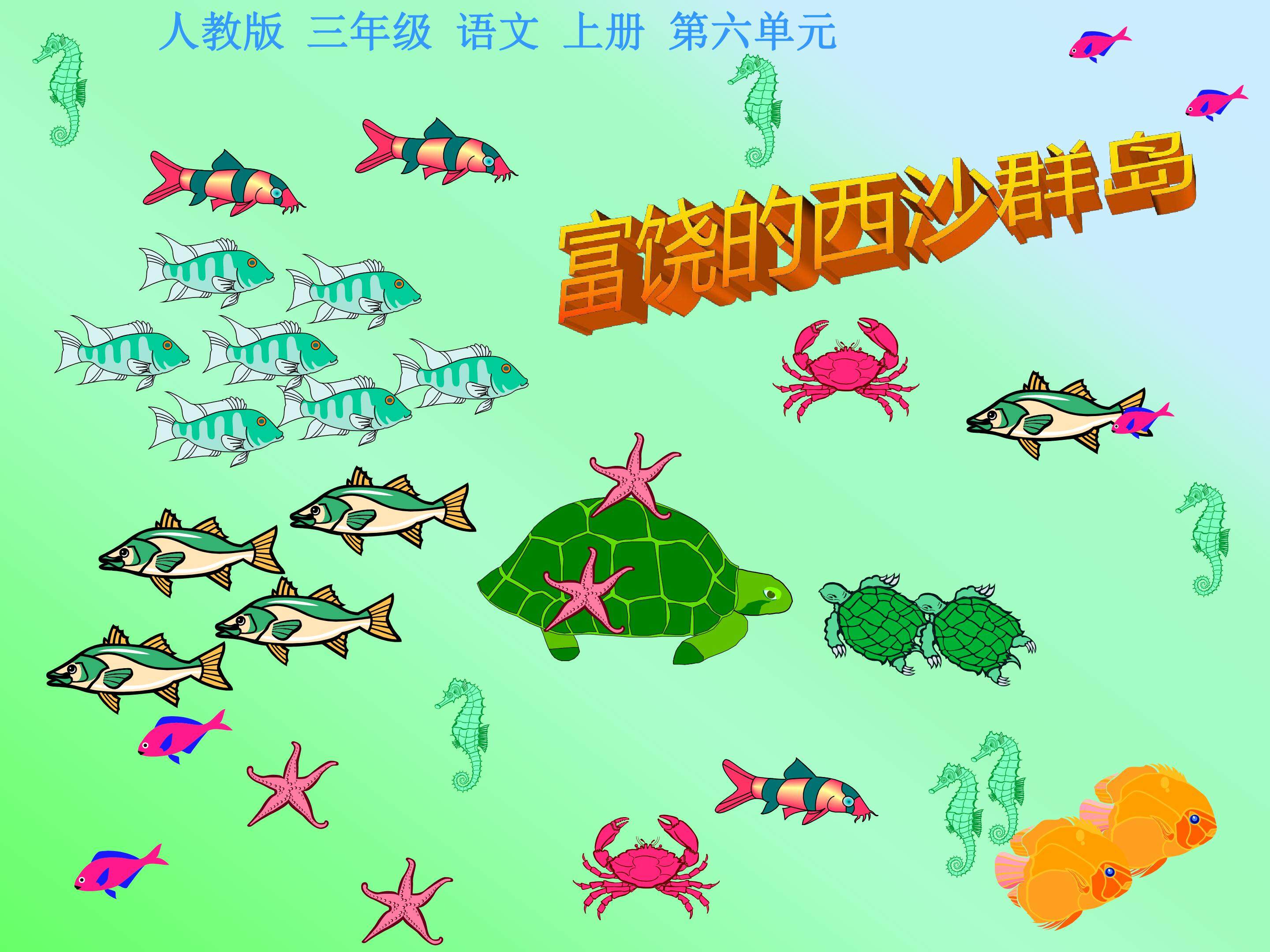 富饶的西沙群岛
