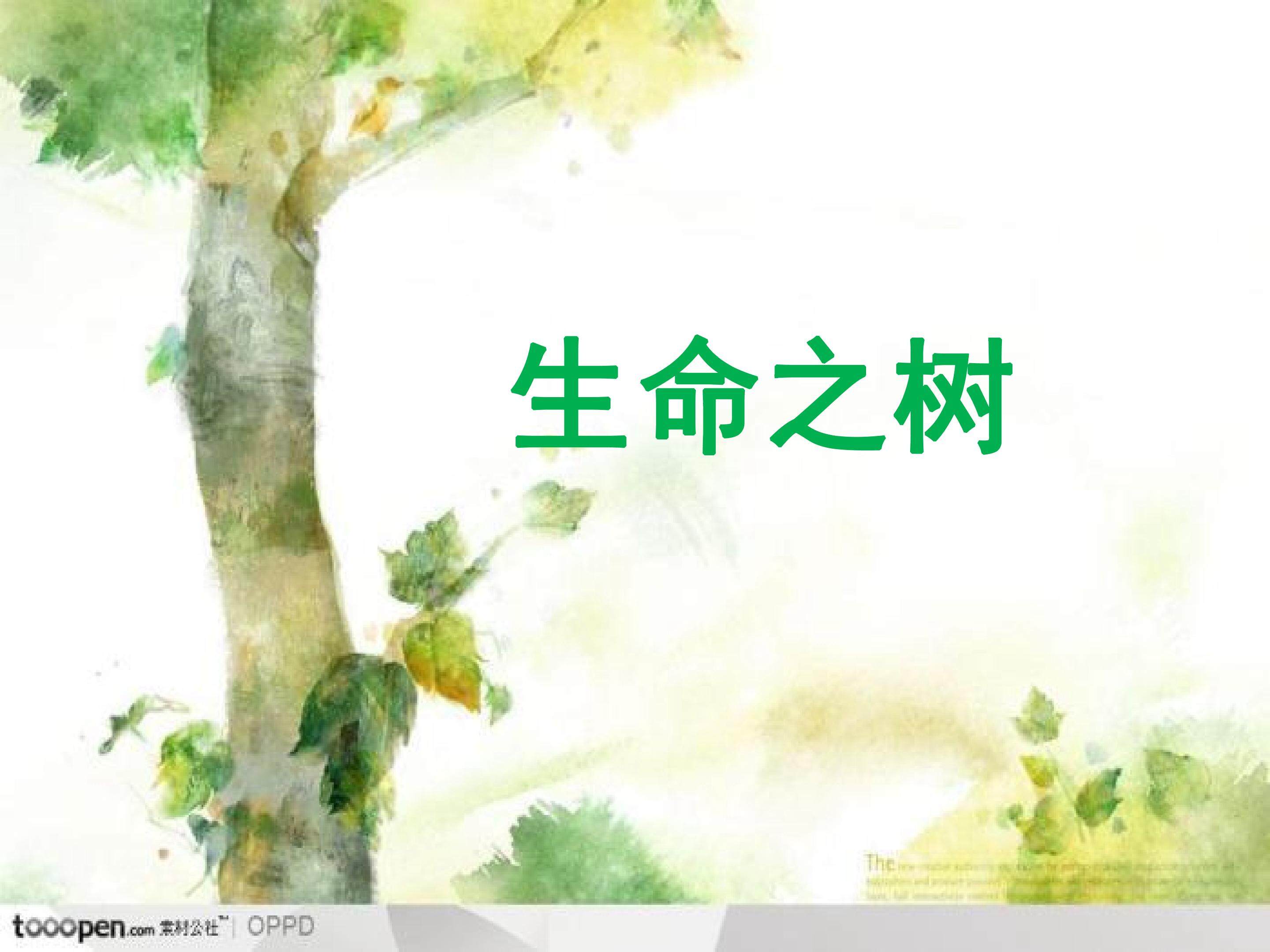 生命之树
