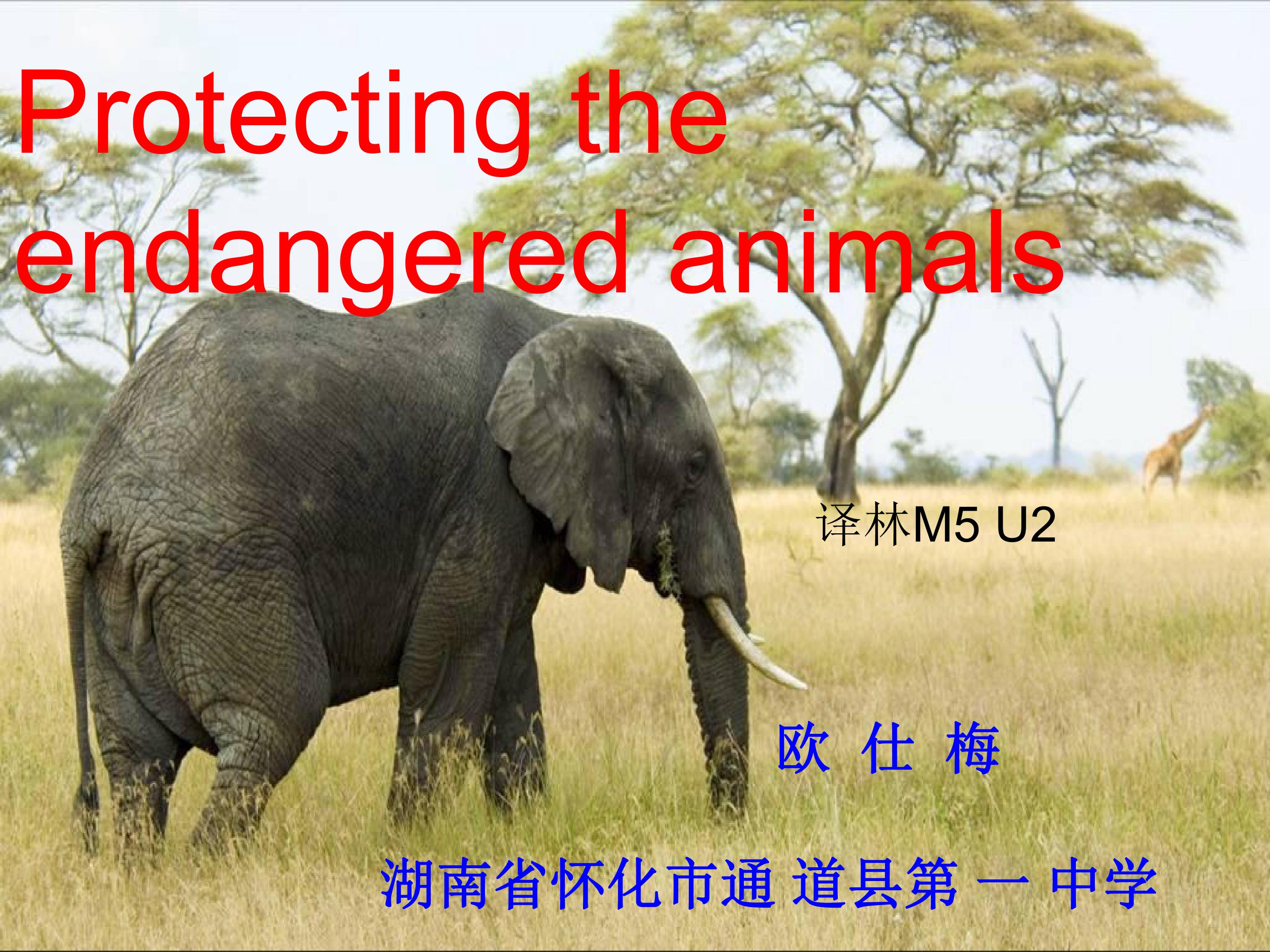 protecting the endangered animals