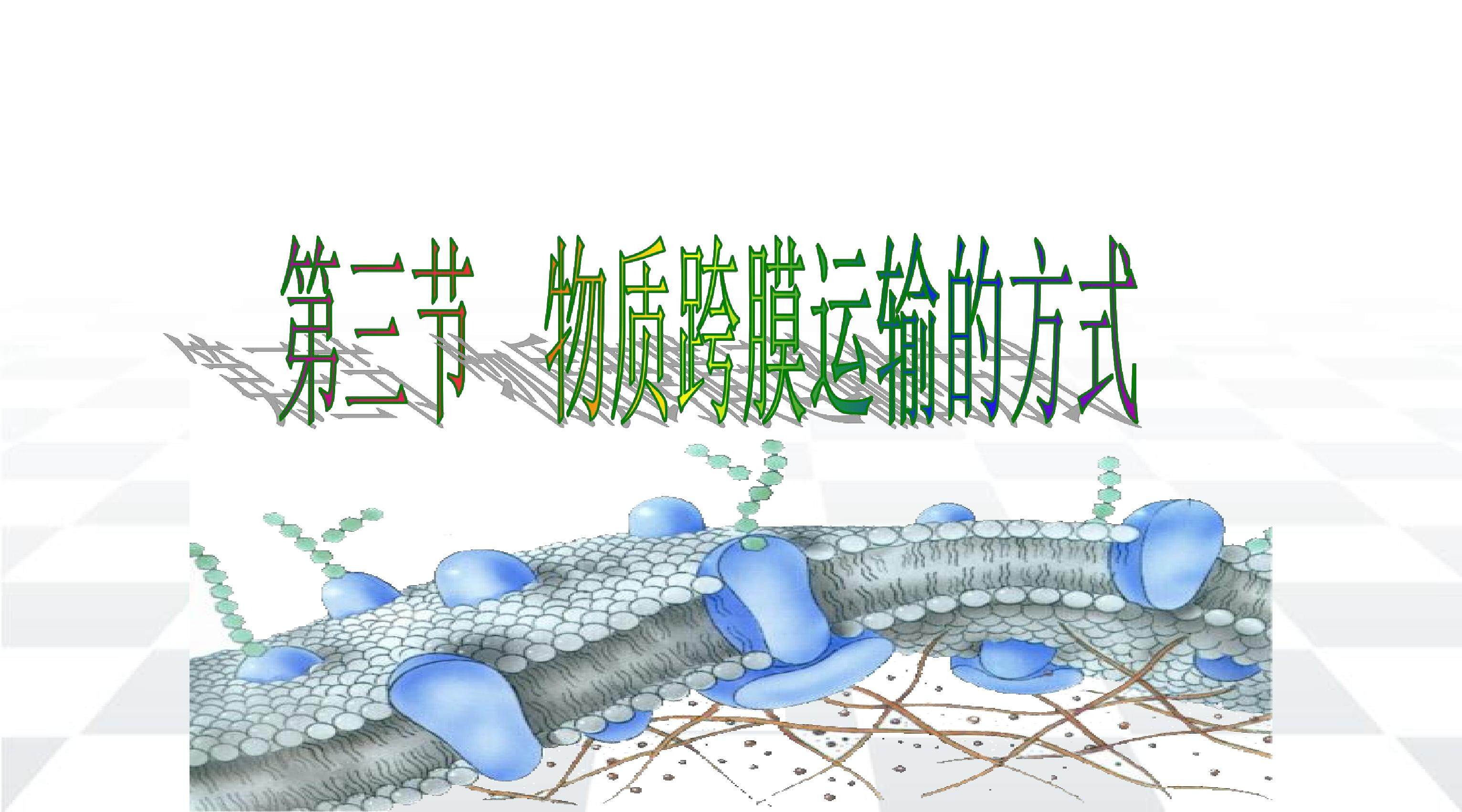 物质跨膜运输的方式