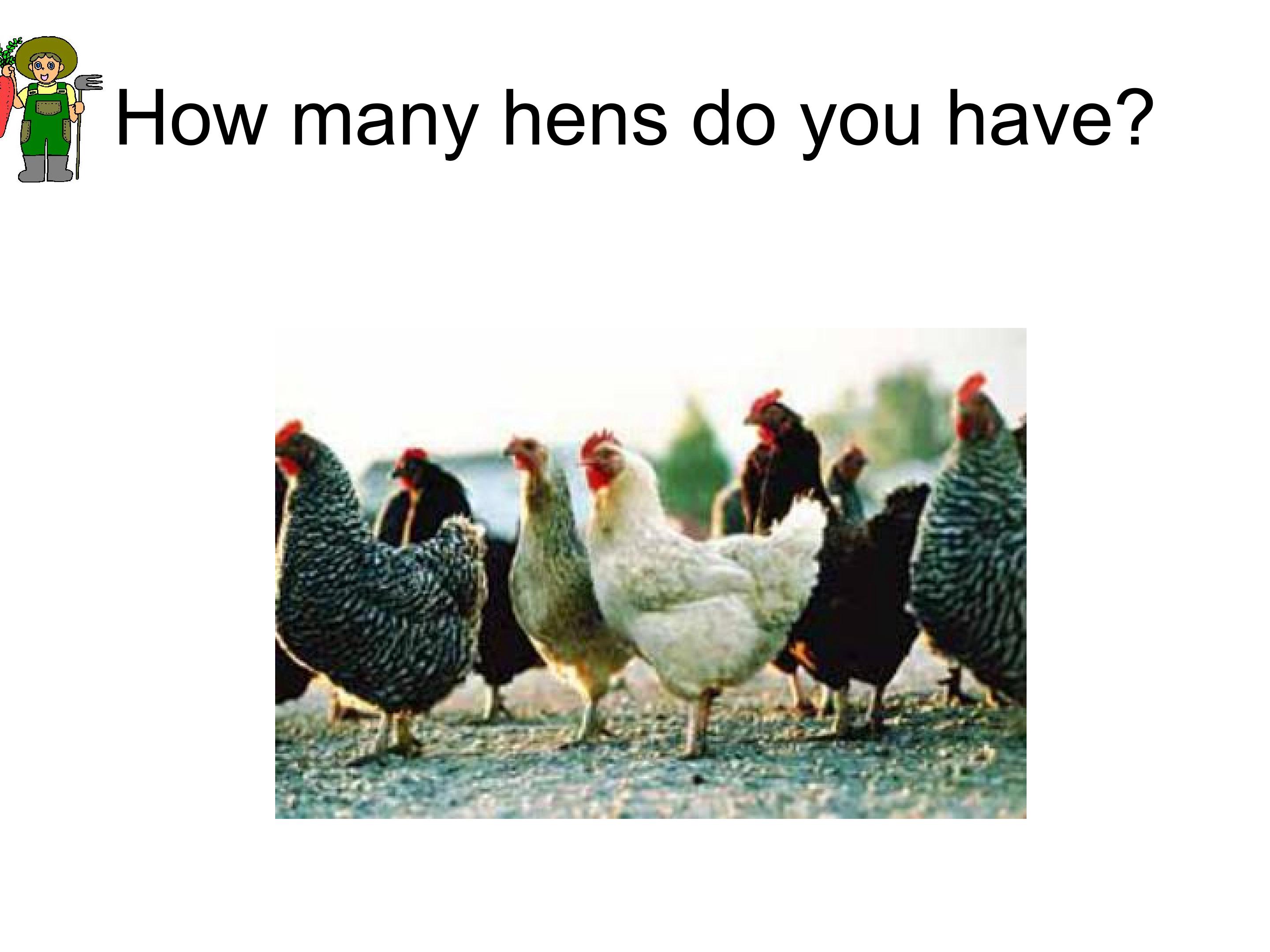 34.jpg