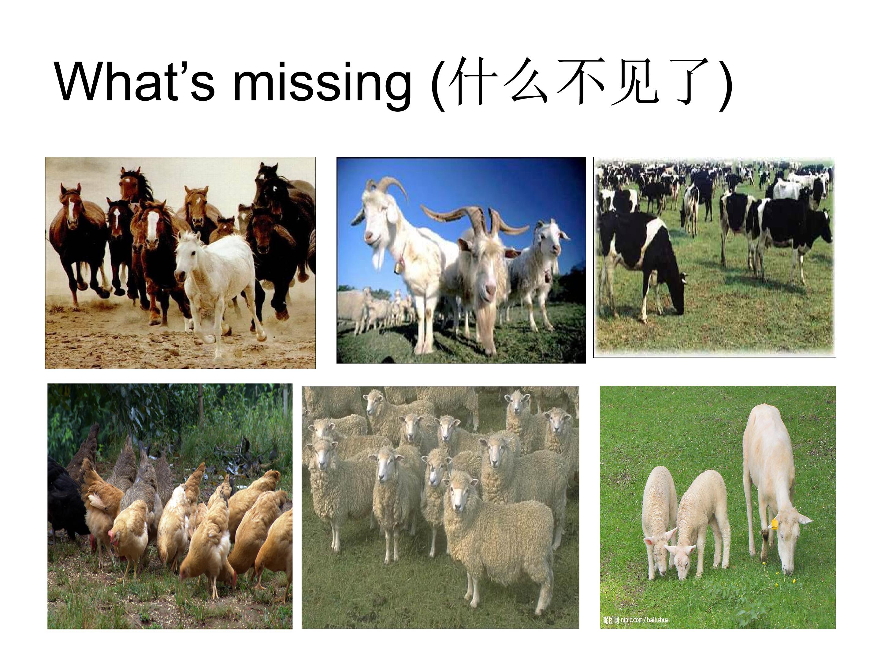 37.jpg