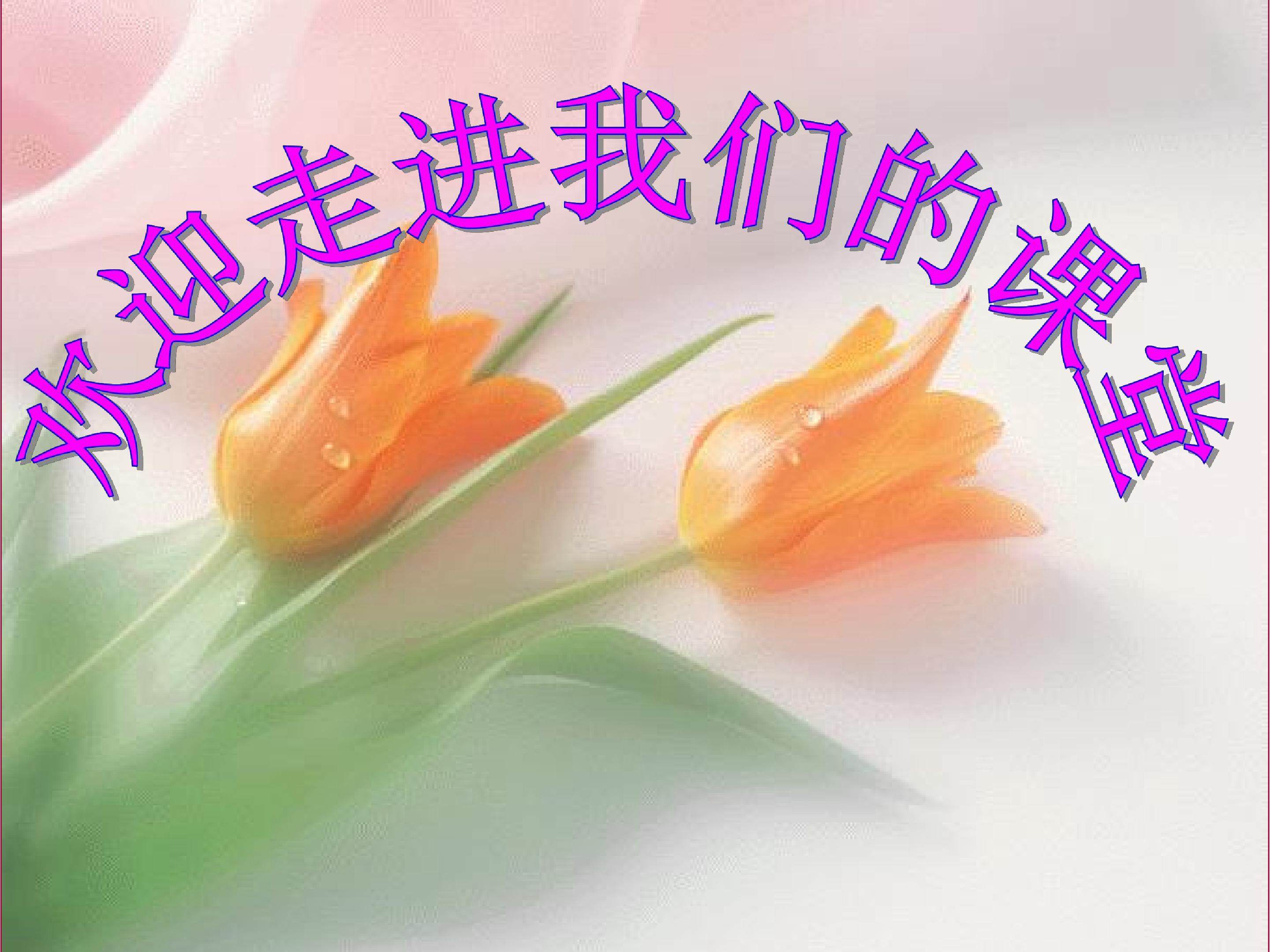 三角形的面积