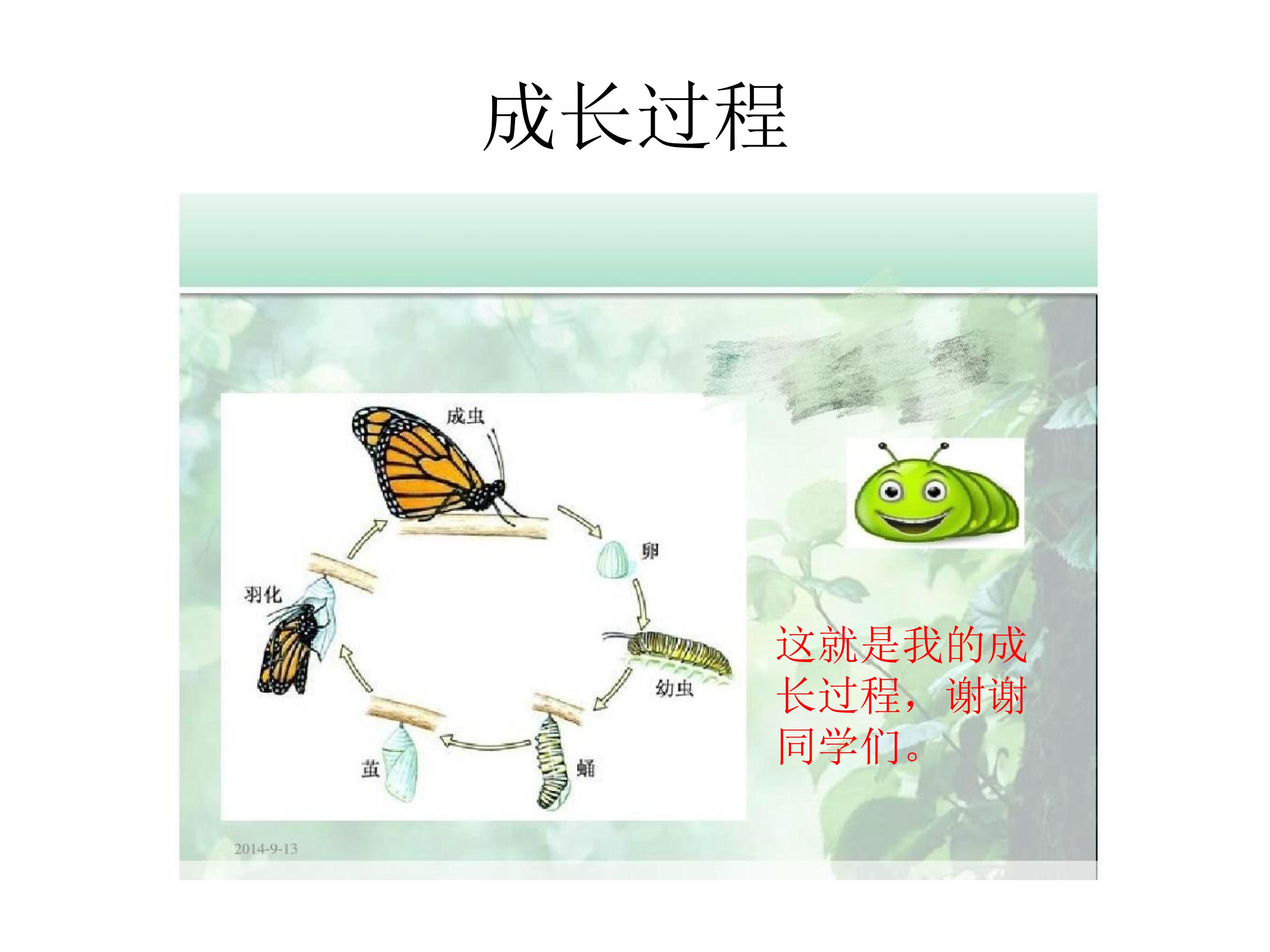 13.jpg