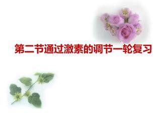 通过激素的调节