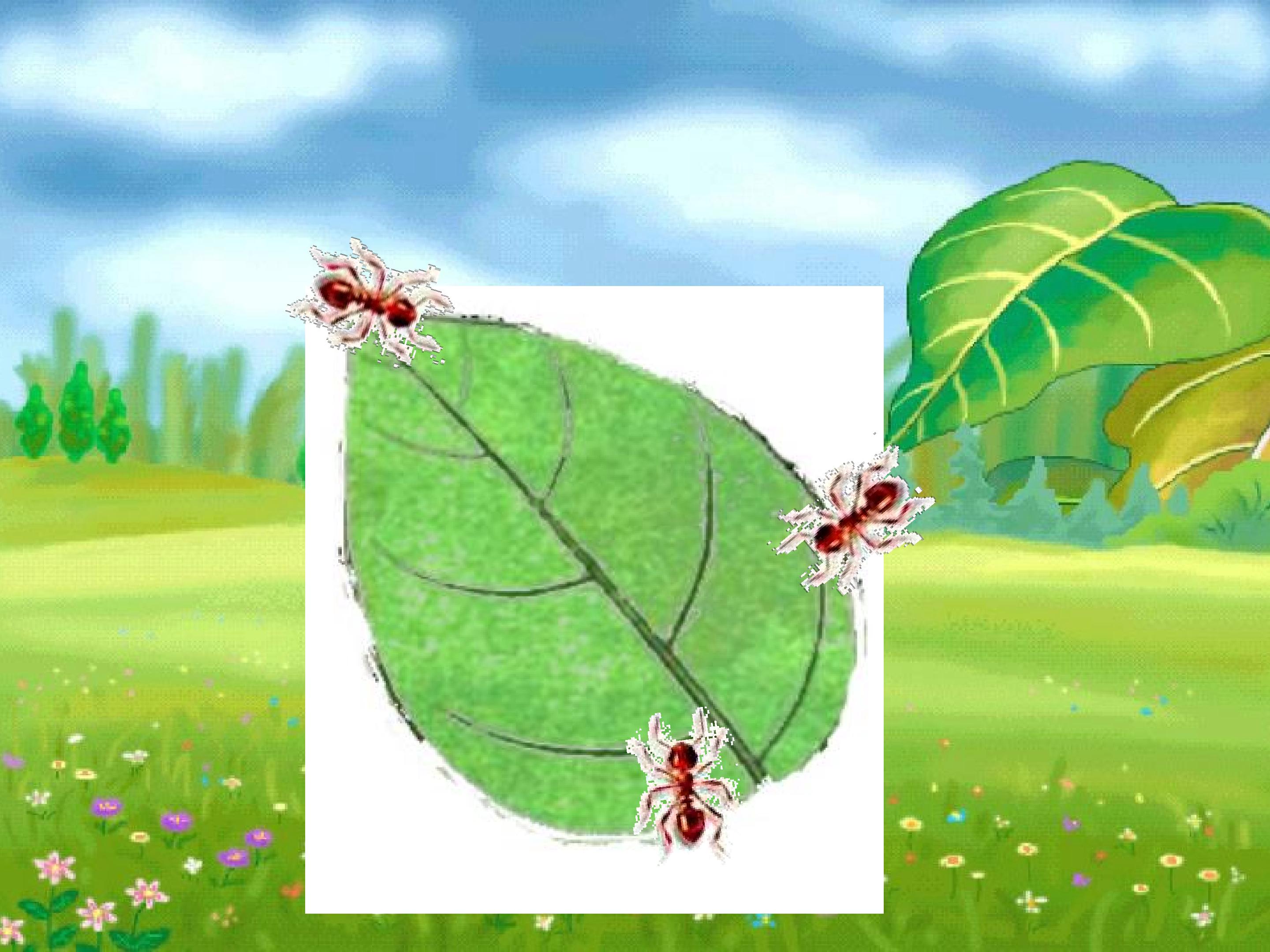 15.jpg