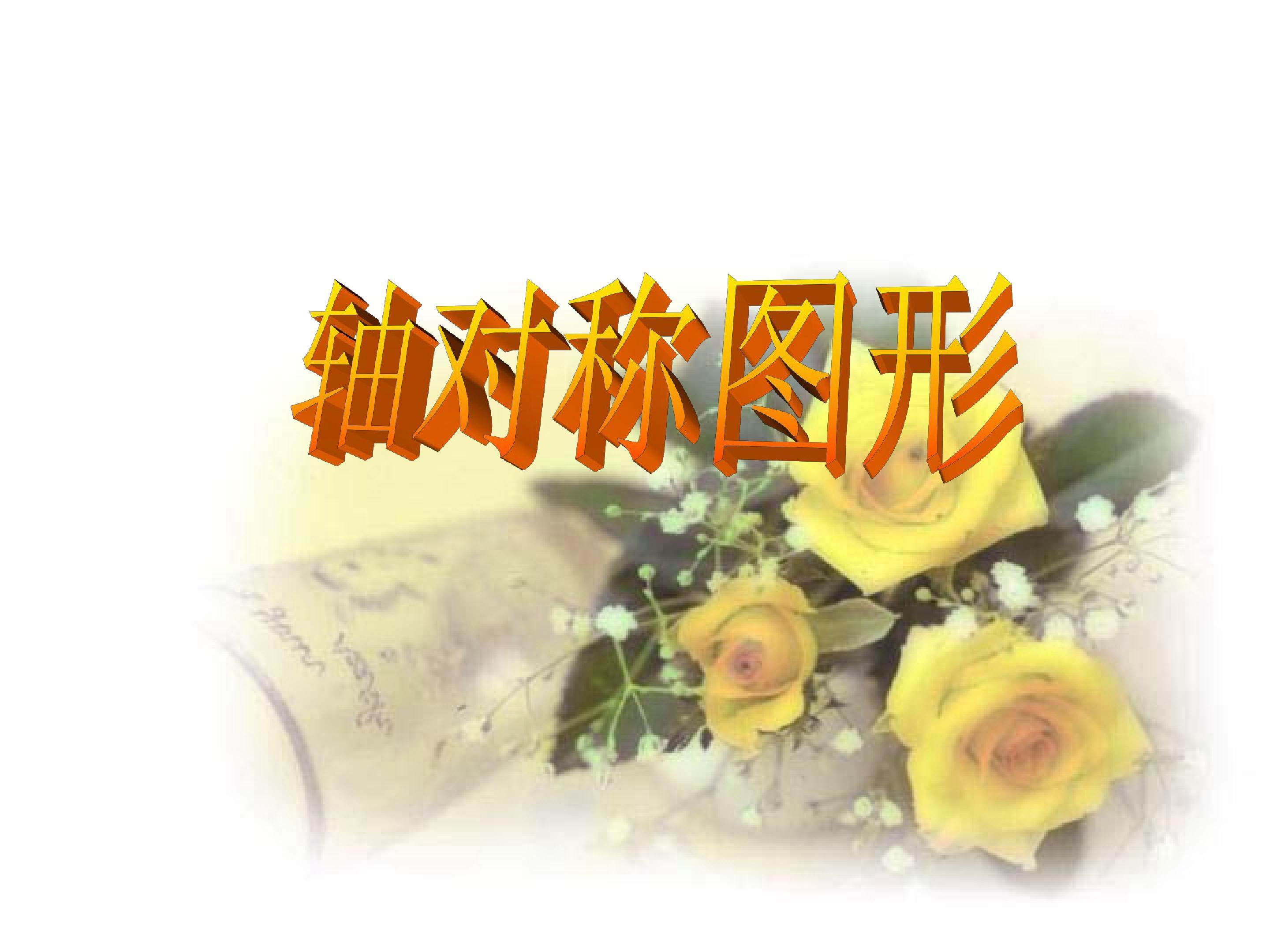图形的运动（二）
