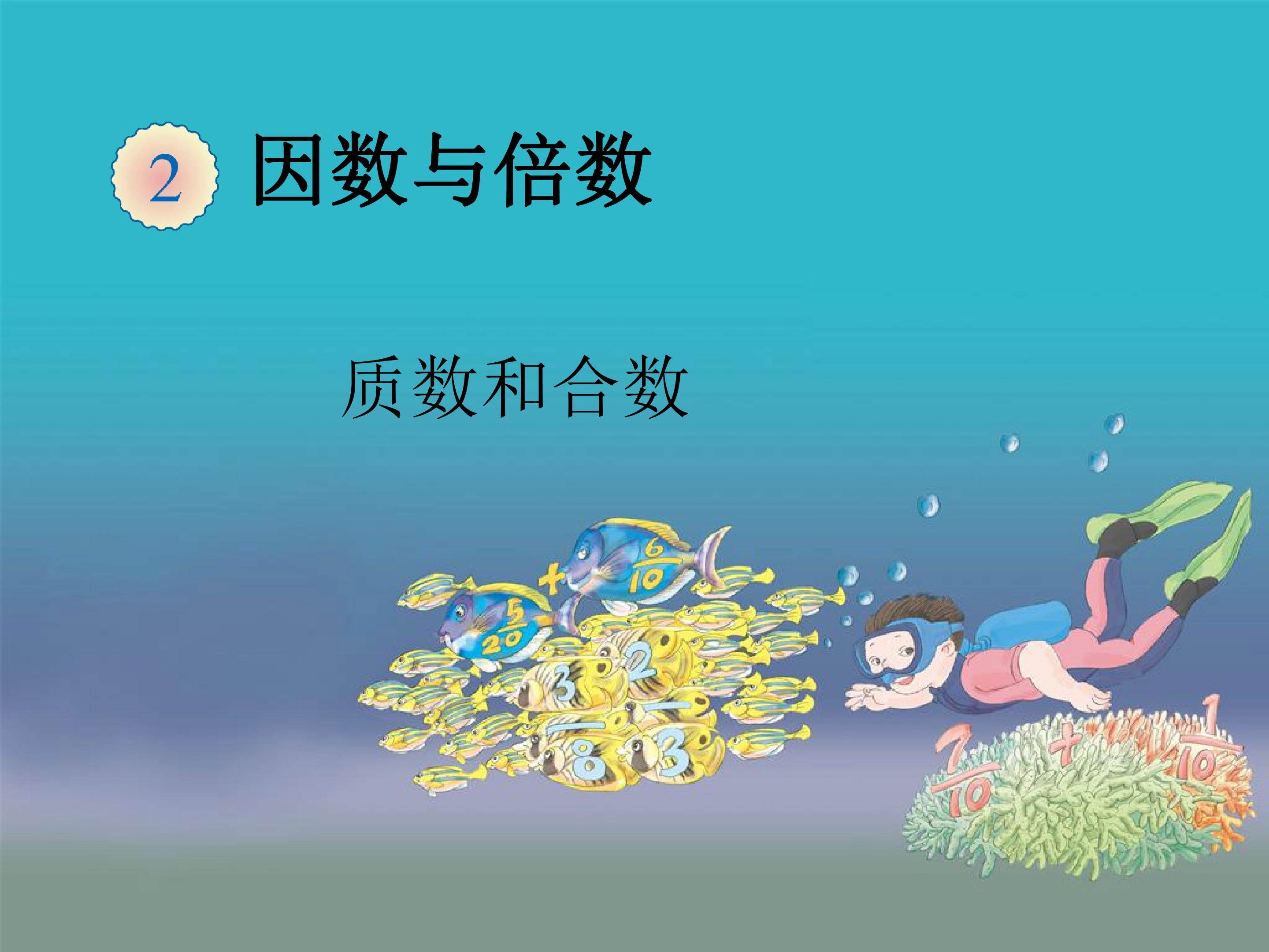 质数和合数