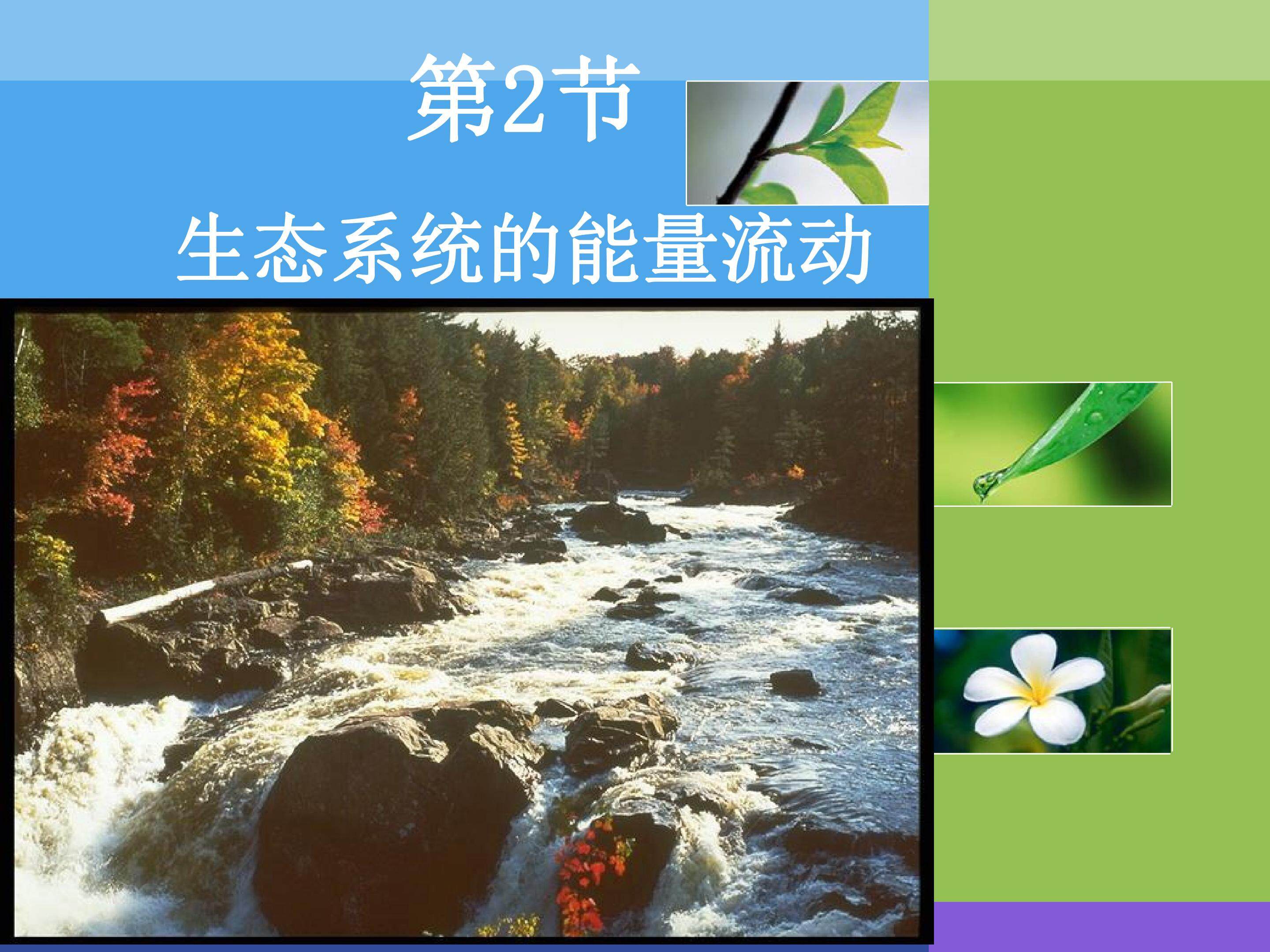 生态系统的能量流动