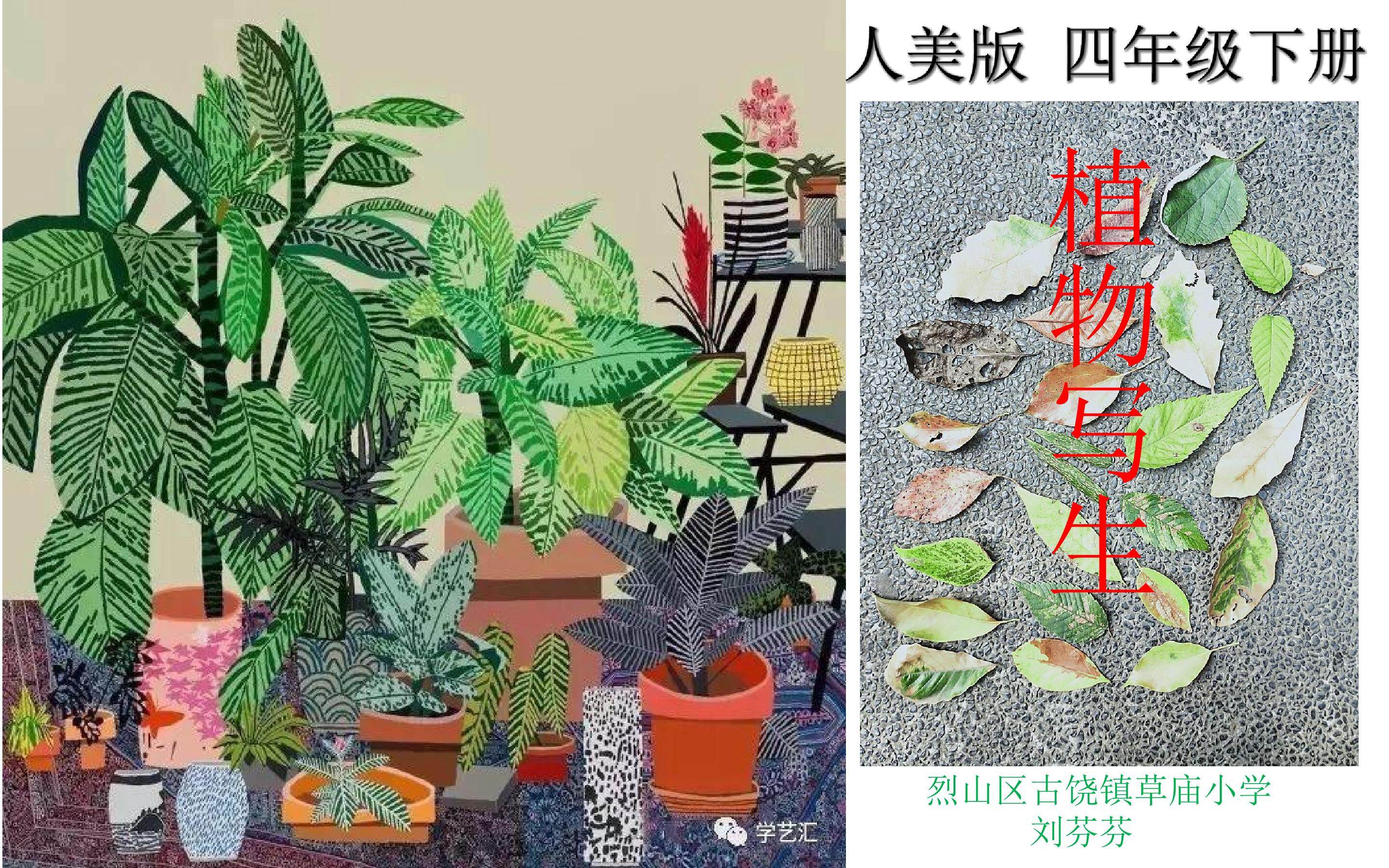 植物写生