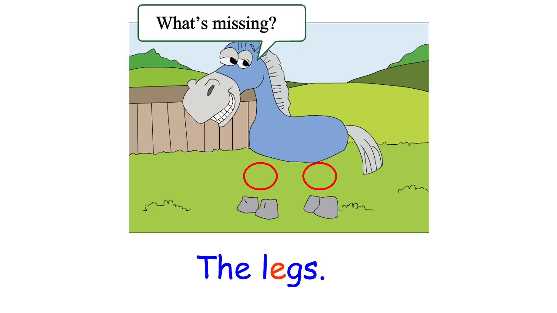 21.jpg