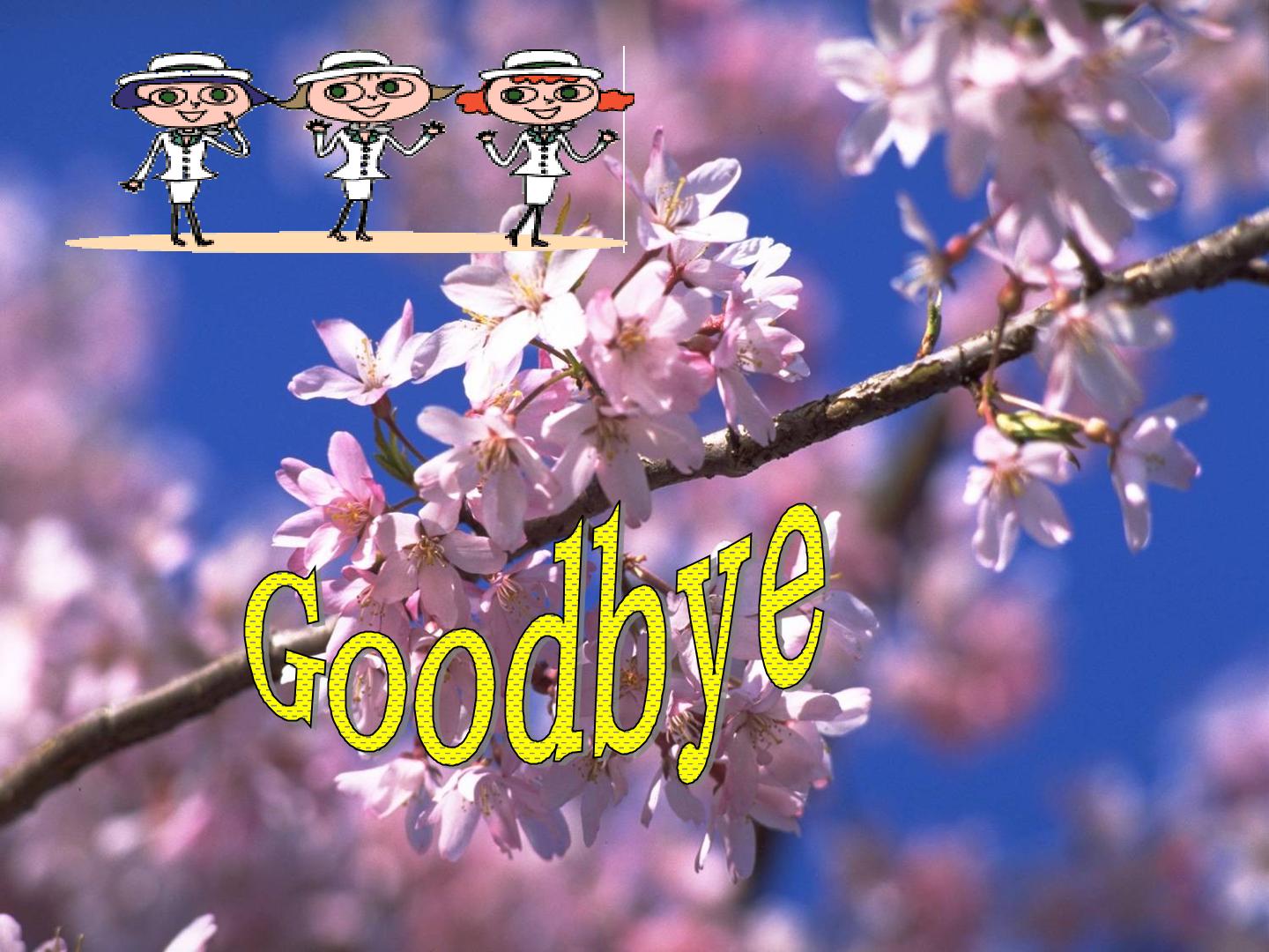 39.jpg
