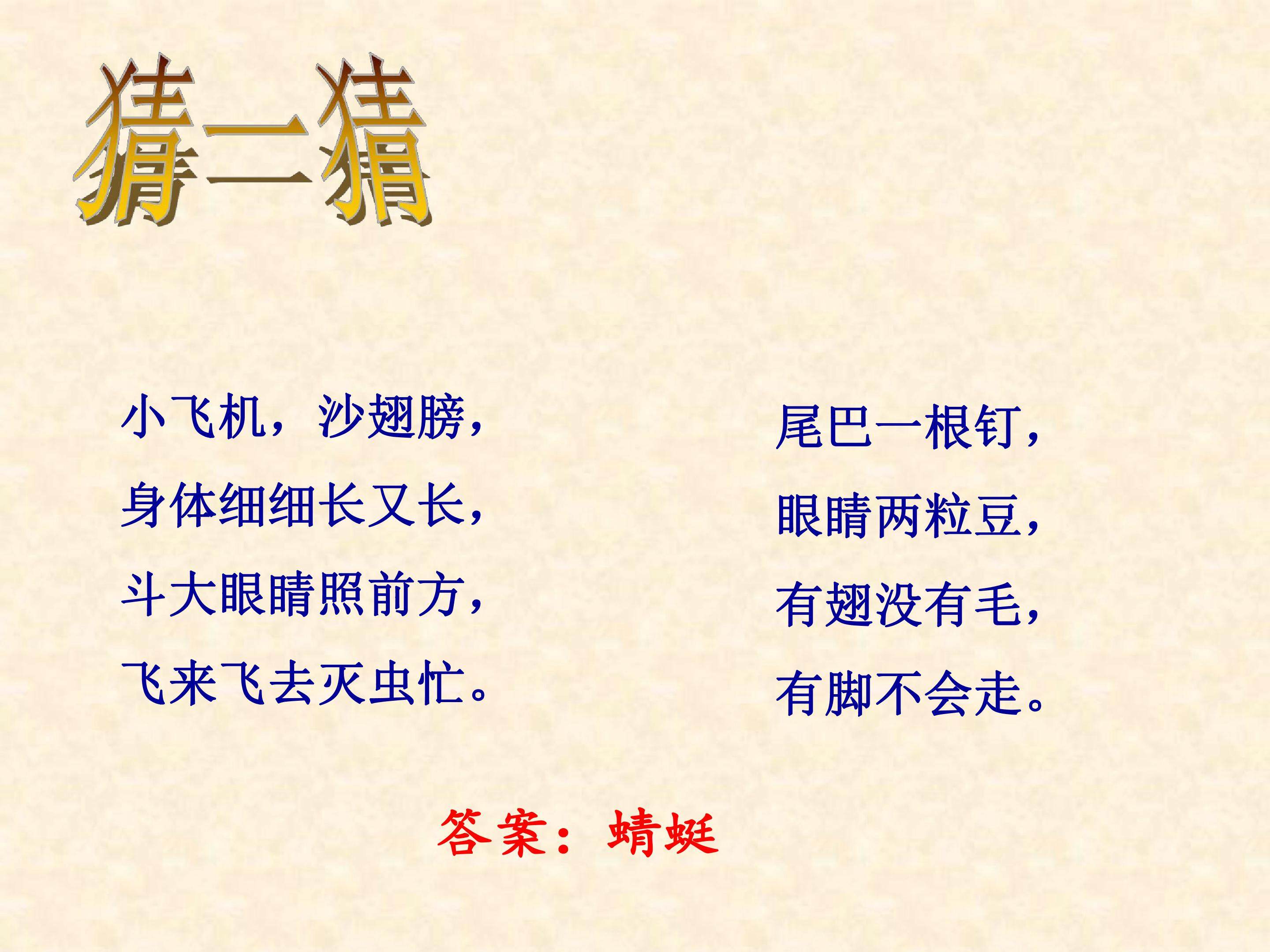 蜻蜓飞飞