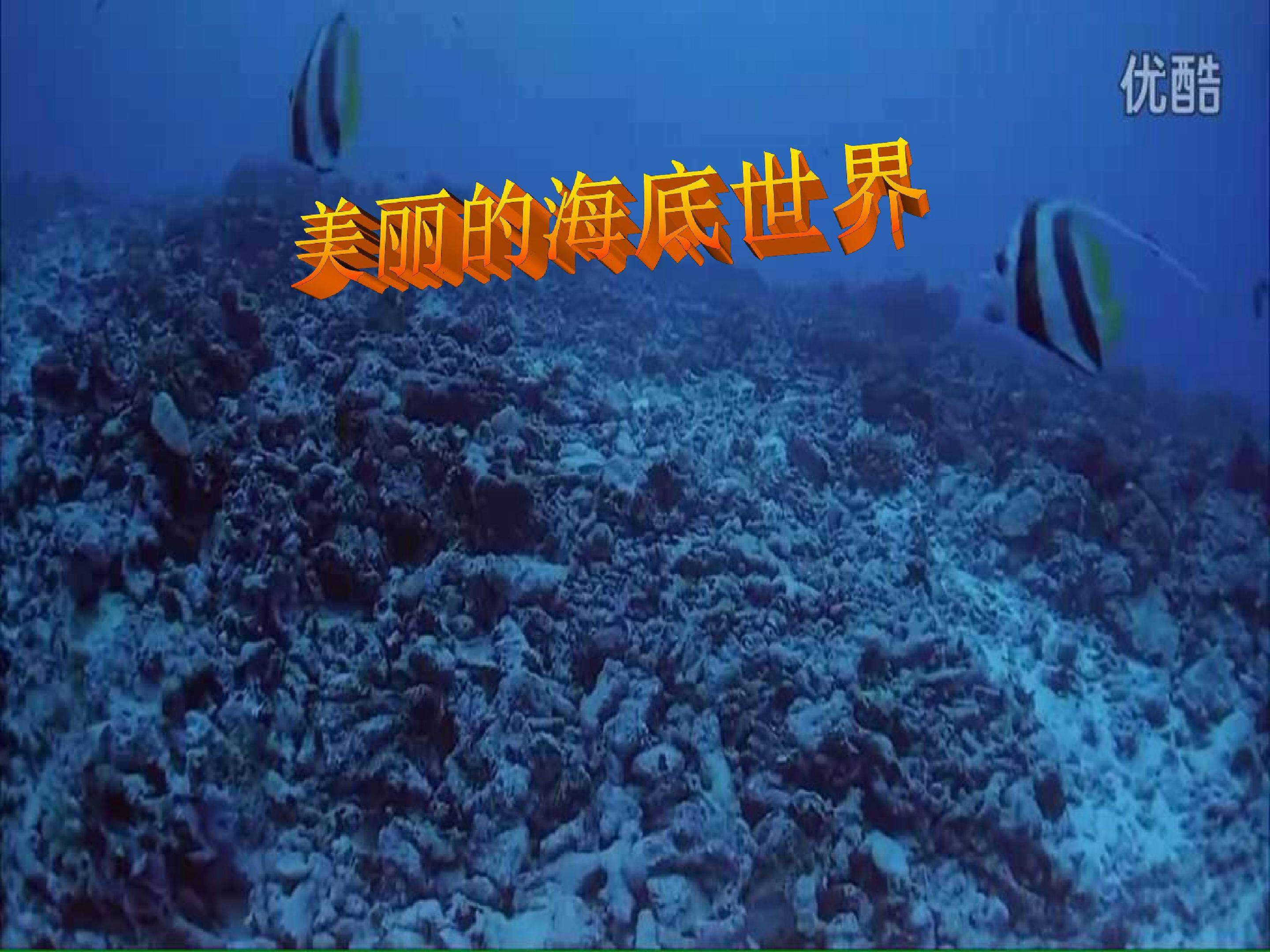美丽的鱼——“直线”和“曲线”工具的使用