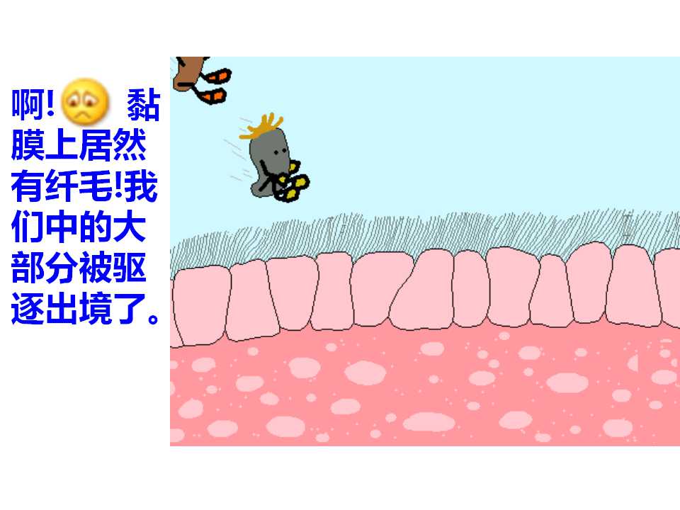 14.jpg