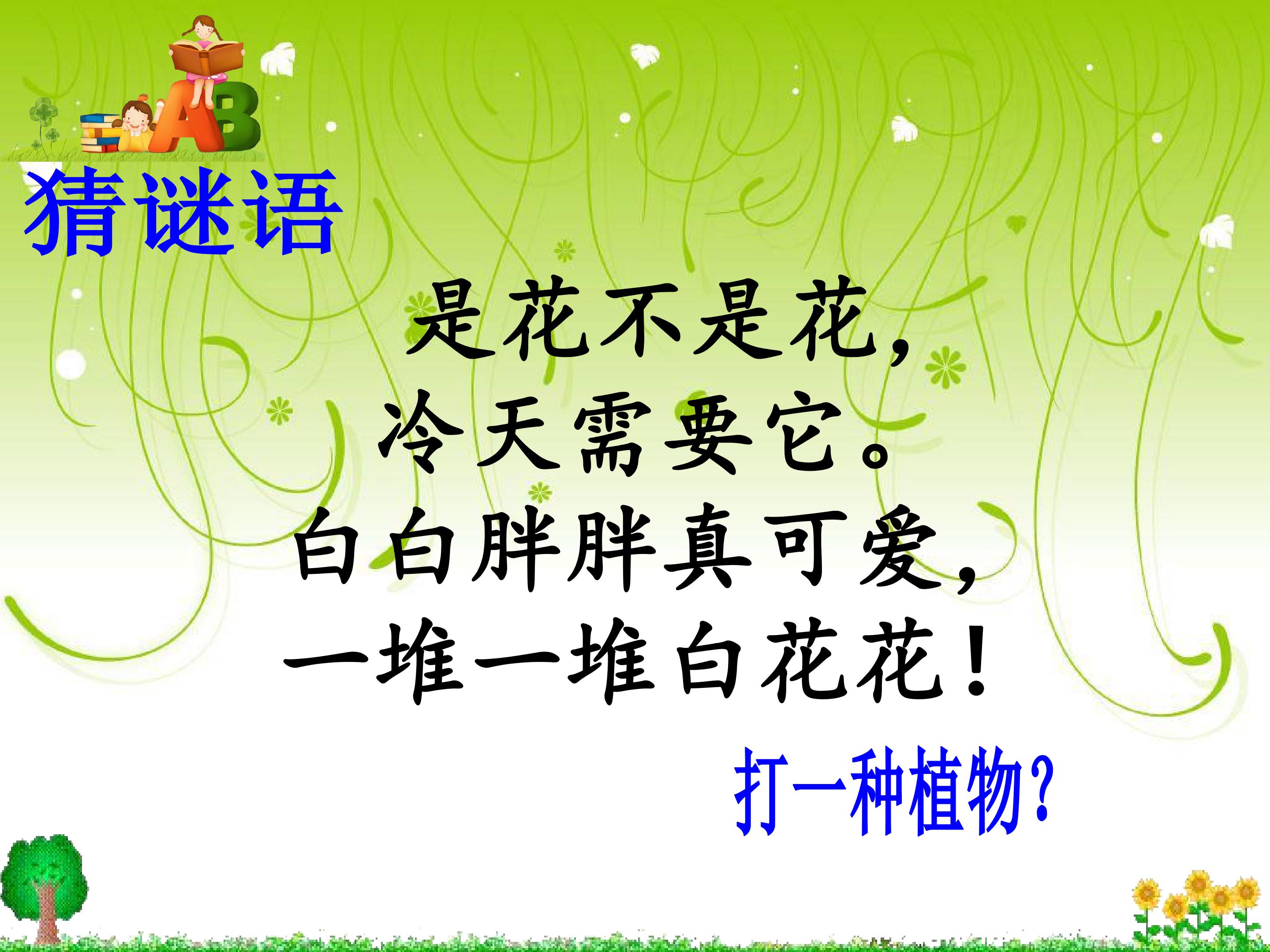 棉花姑娘