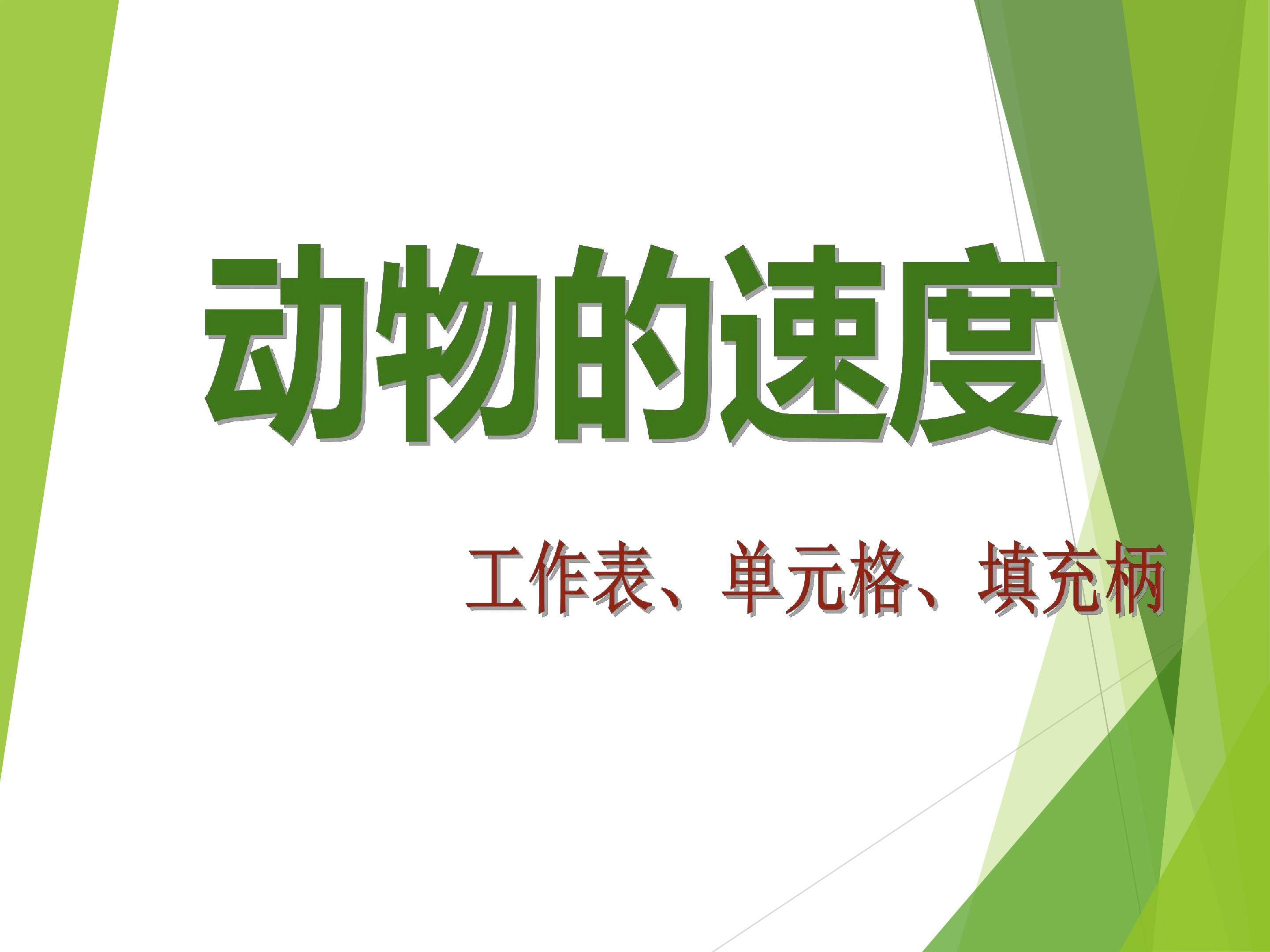 动物的速度
