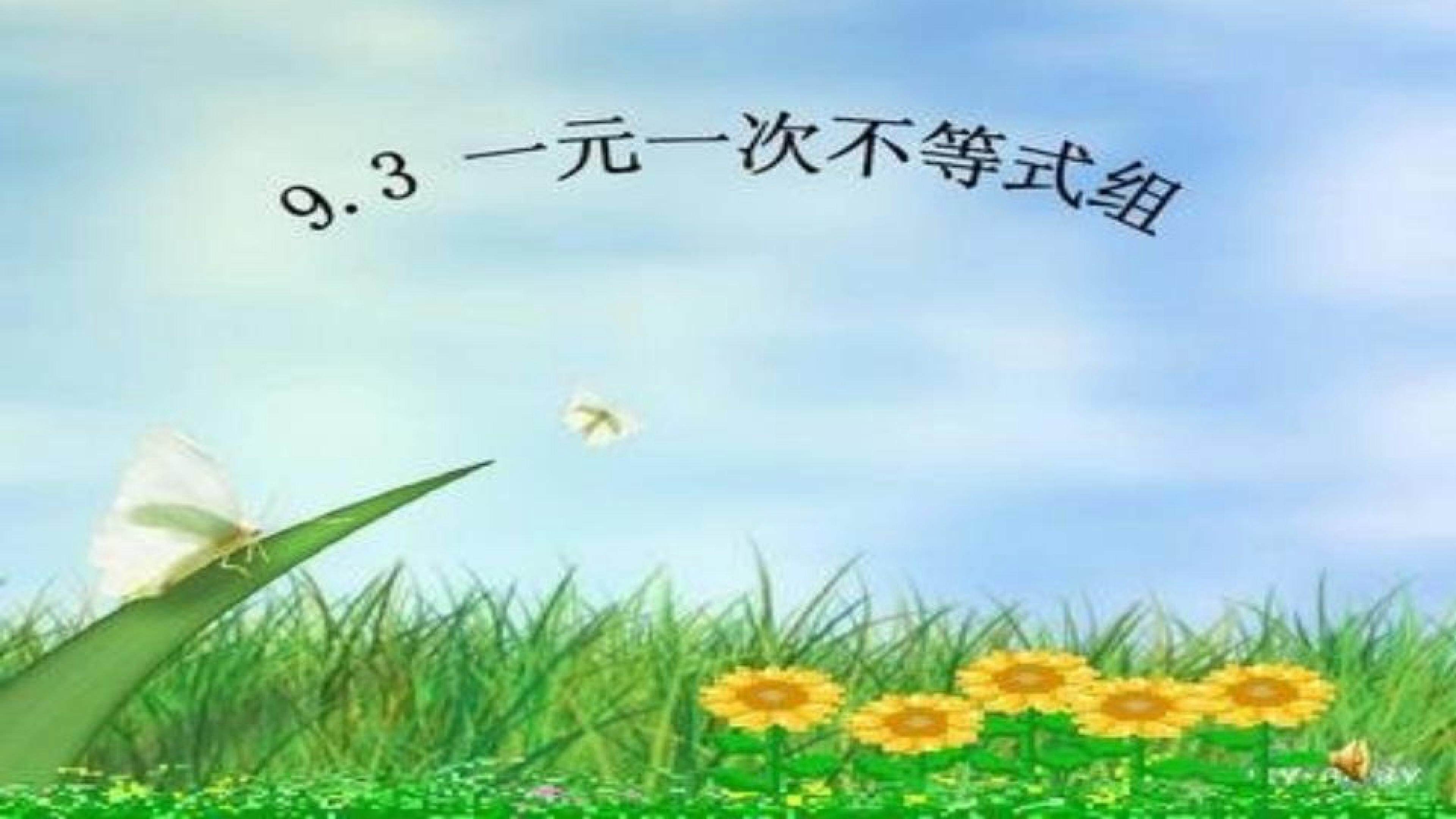 一元一次不等式组