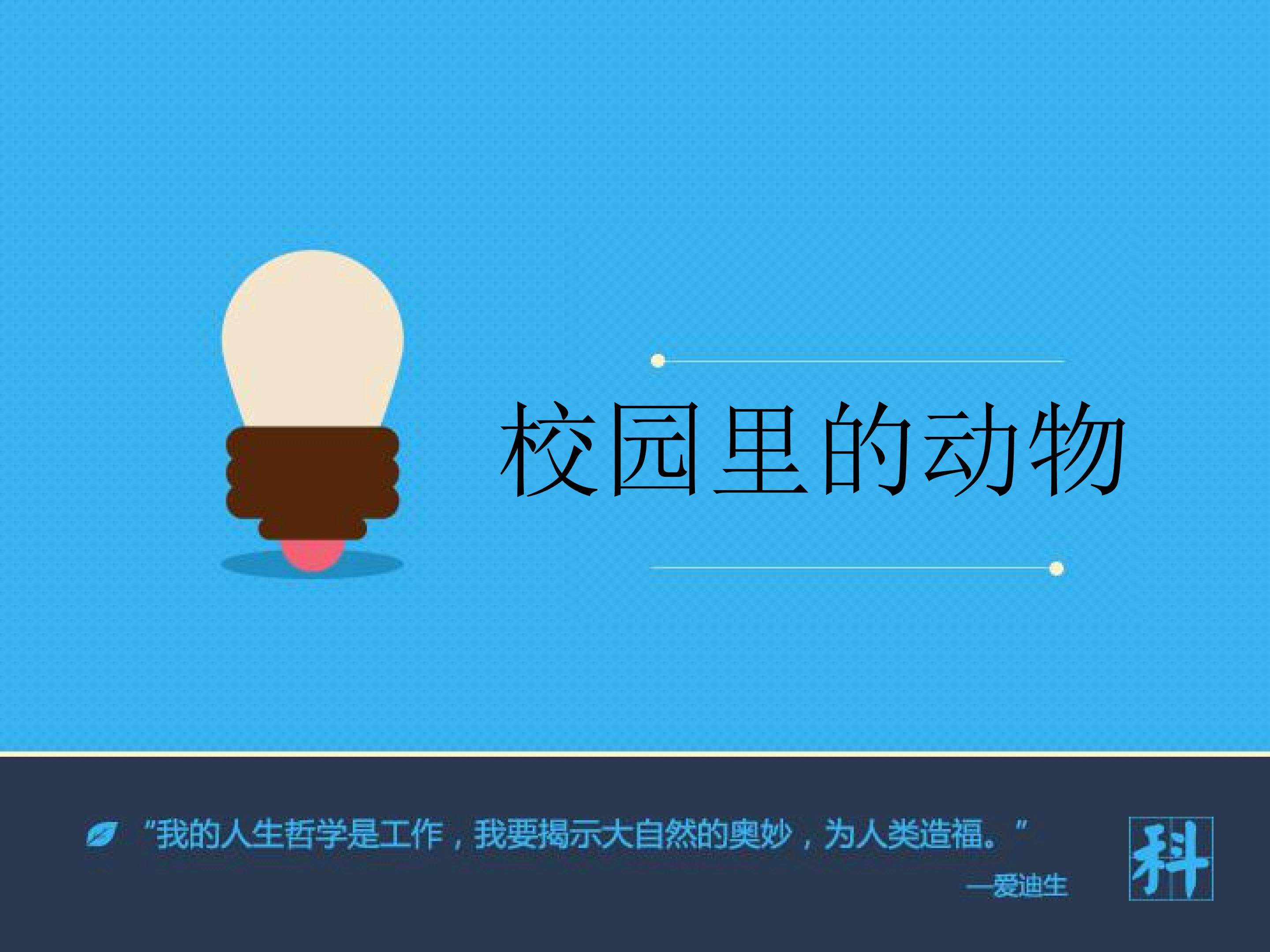校园里的动物
