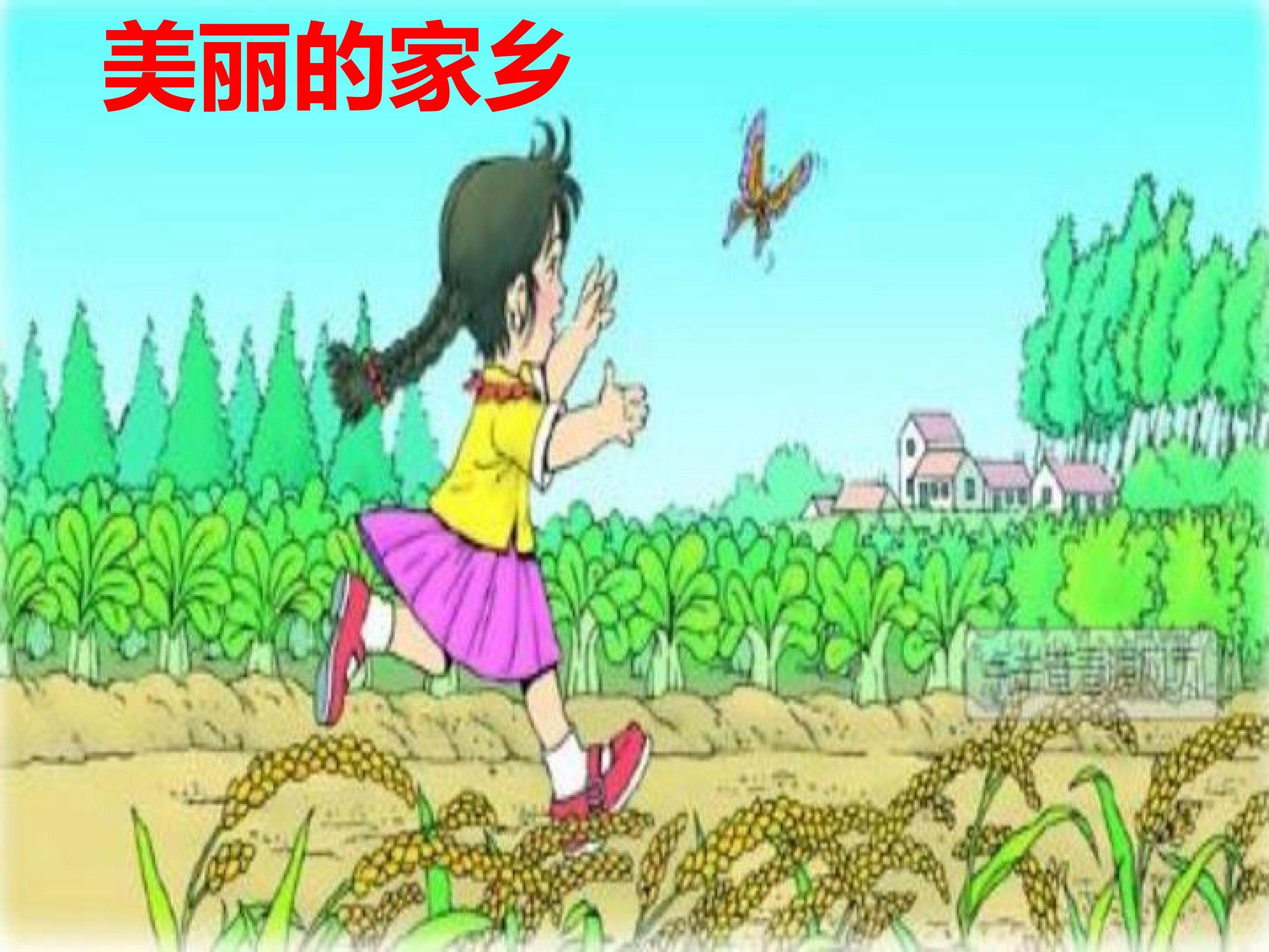 美丽的家乡