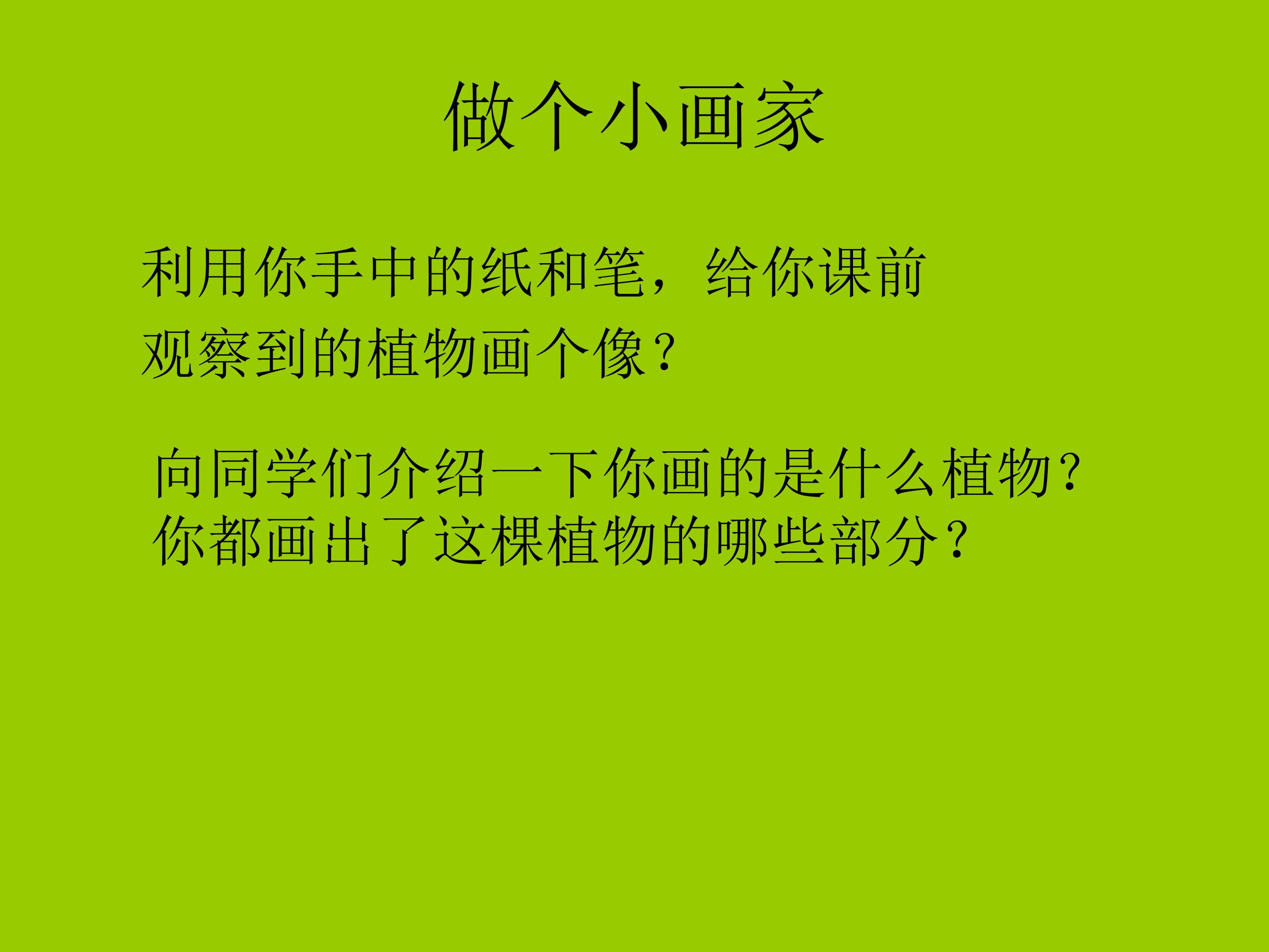 植物的身体2