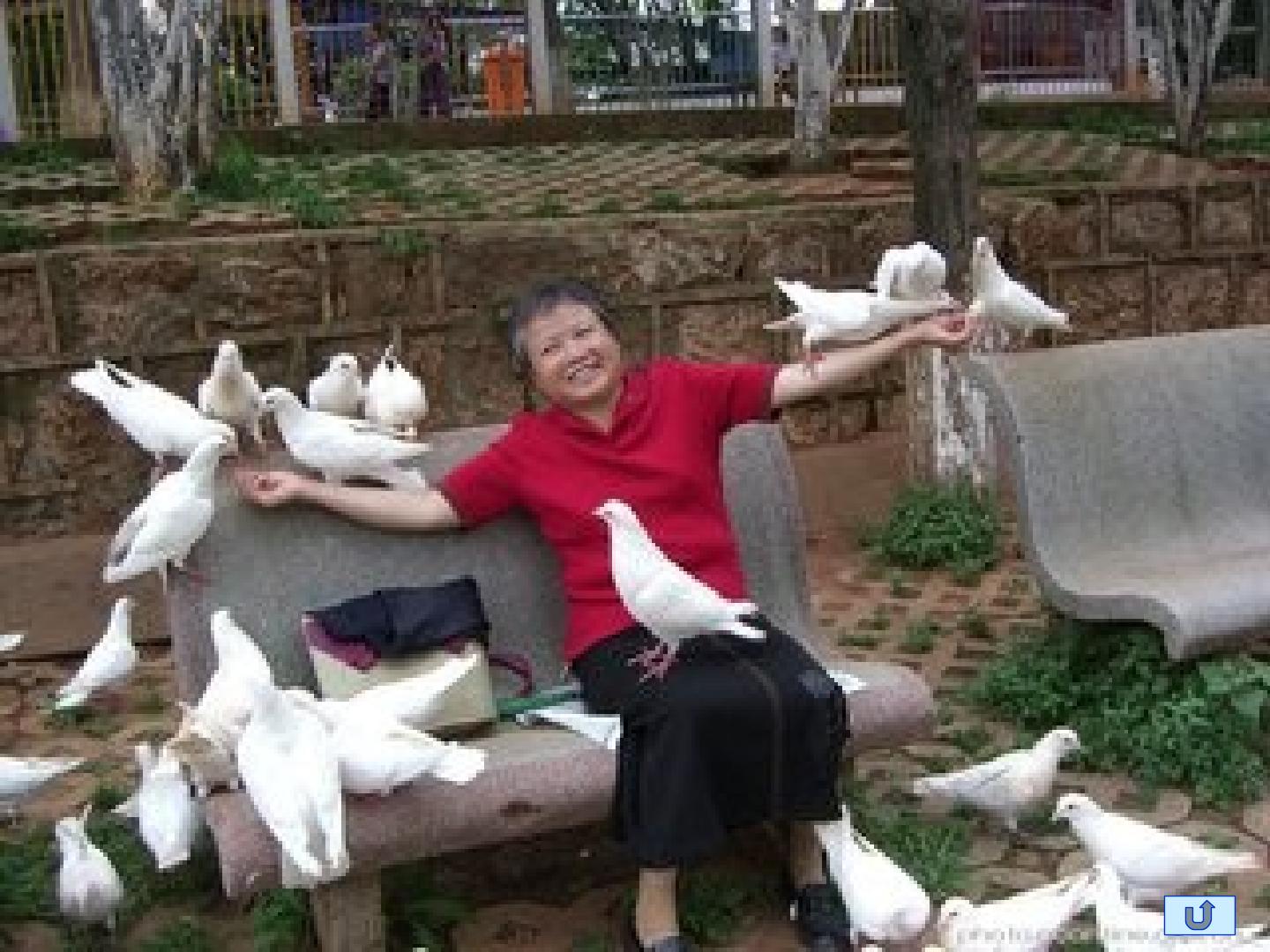 47.jpg