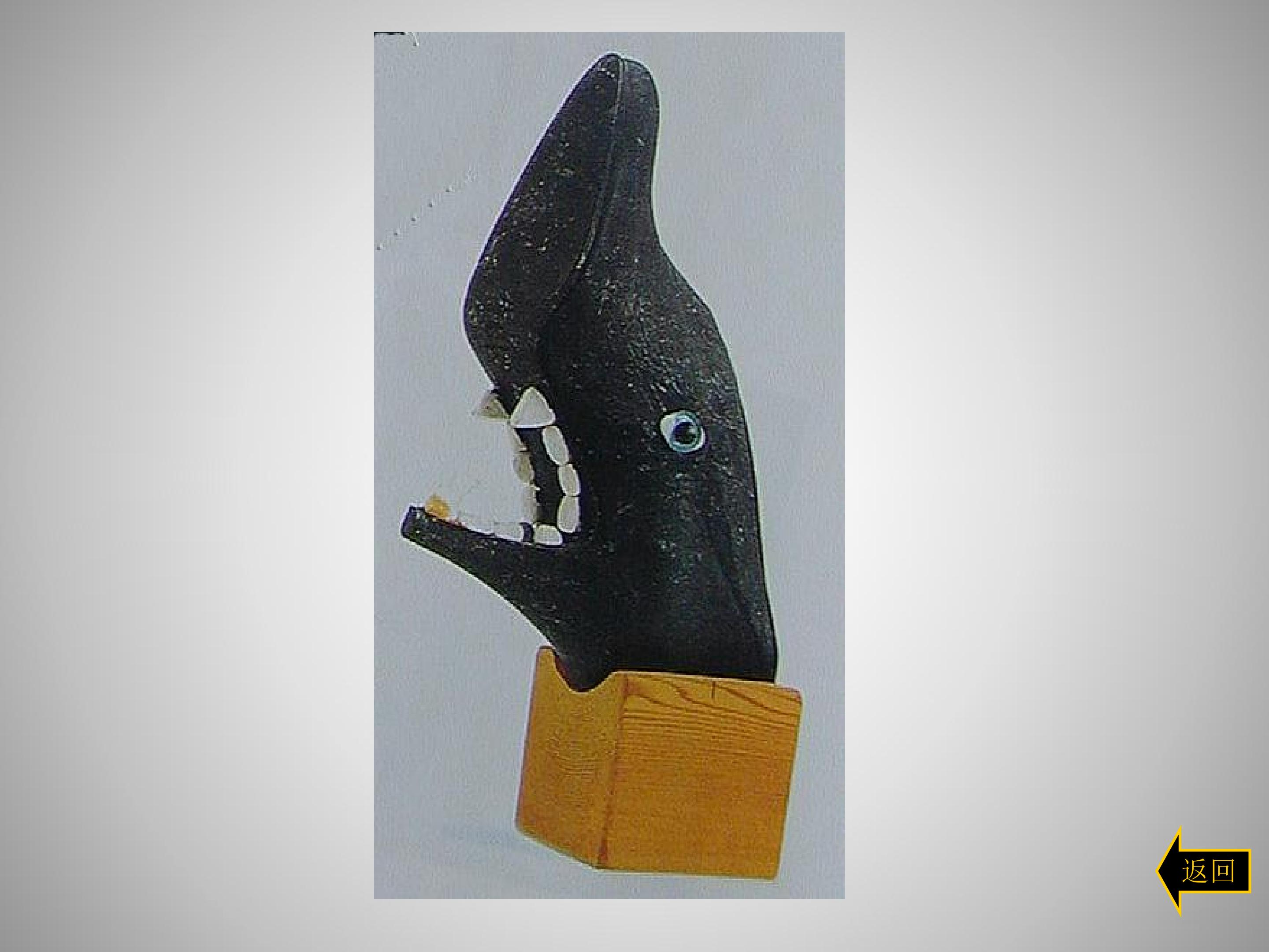 38.jpg