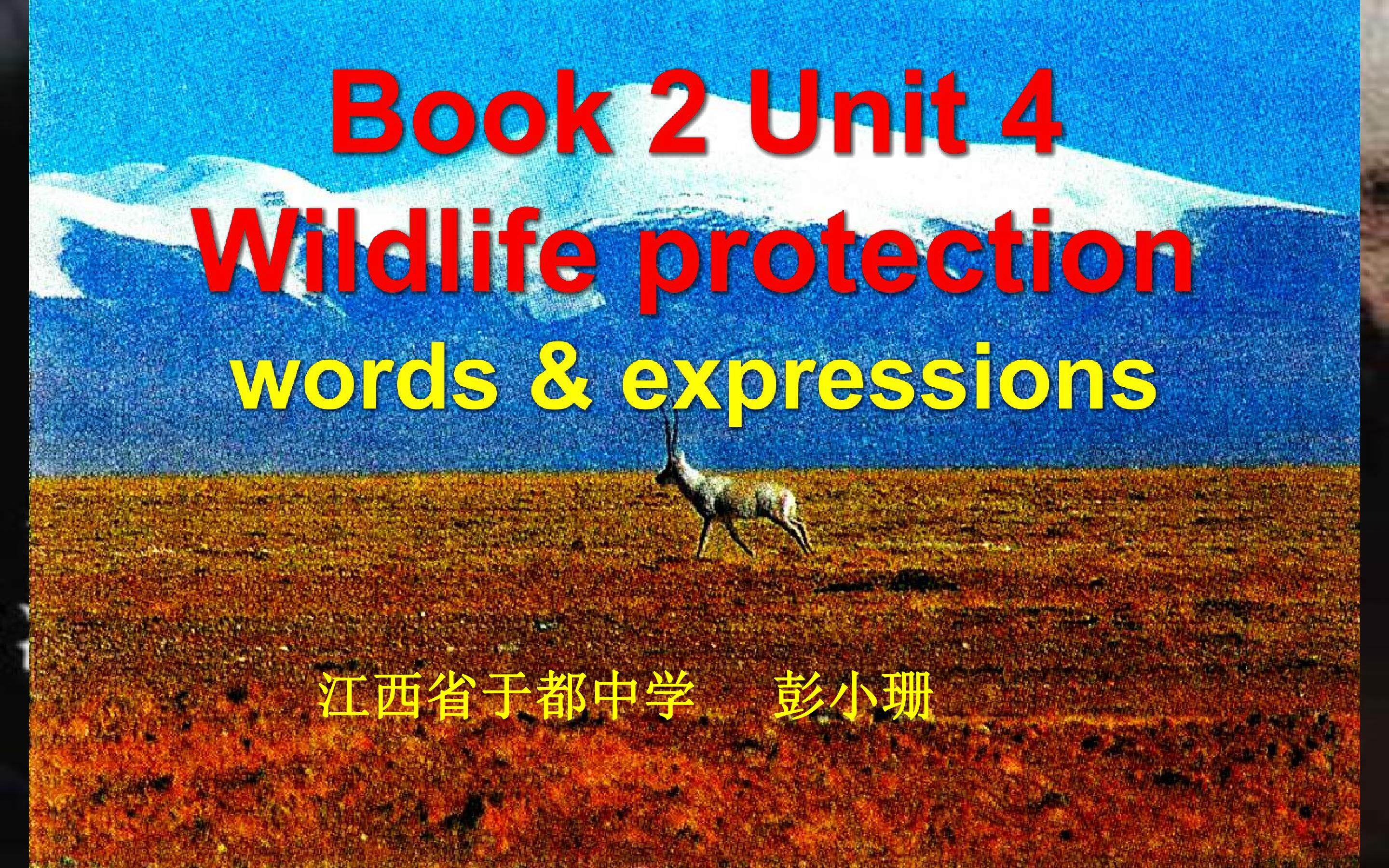 B2U4 Words & expressions (revision)