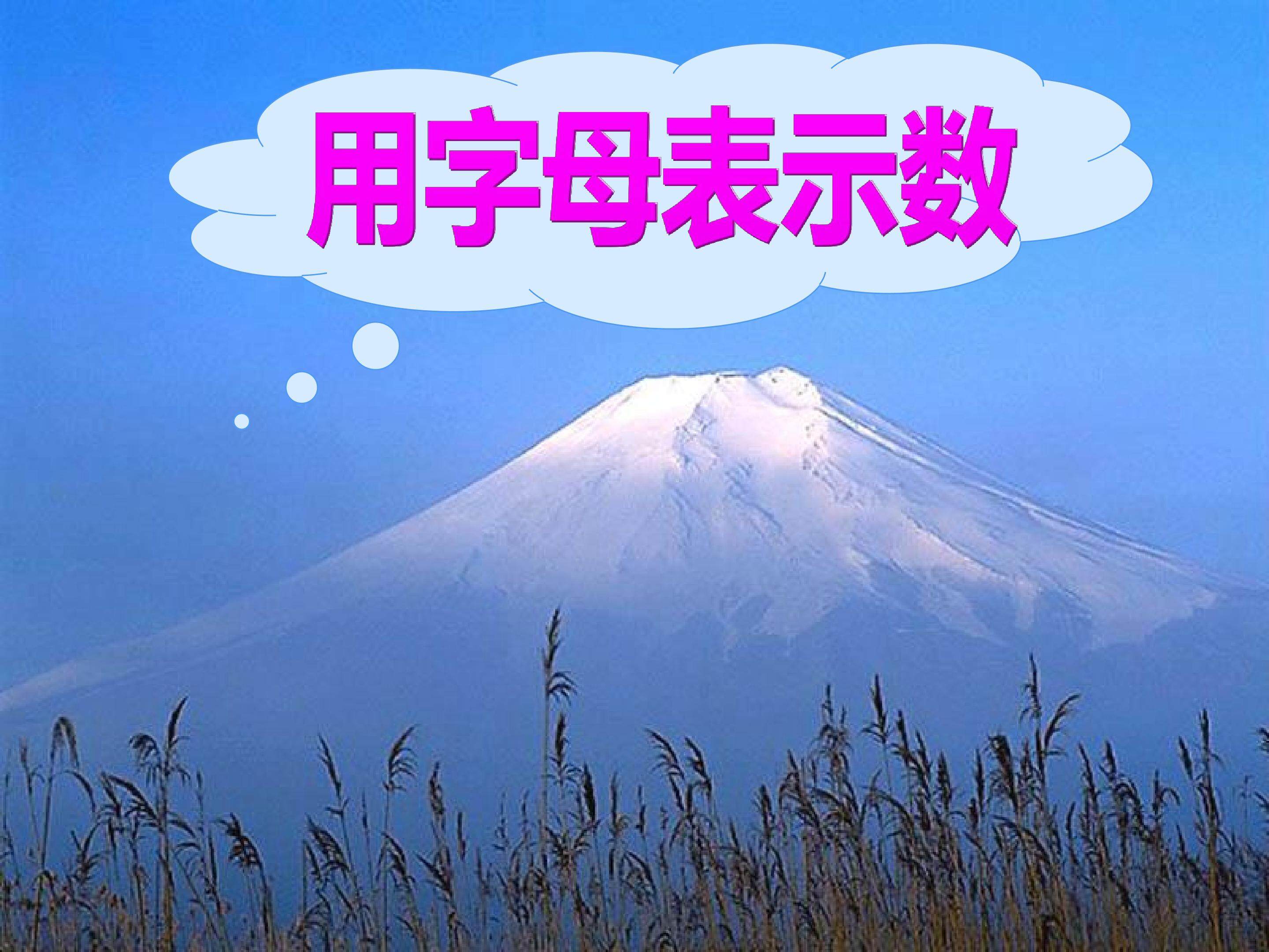 用字母表示数