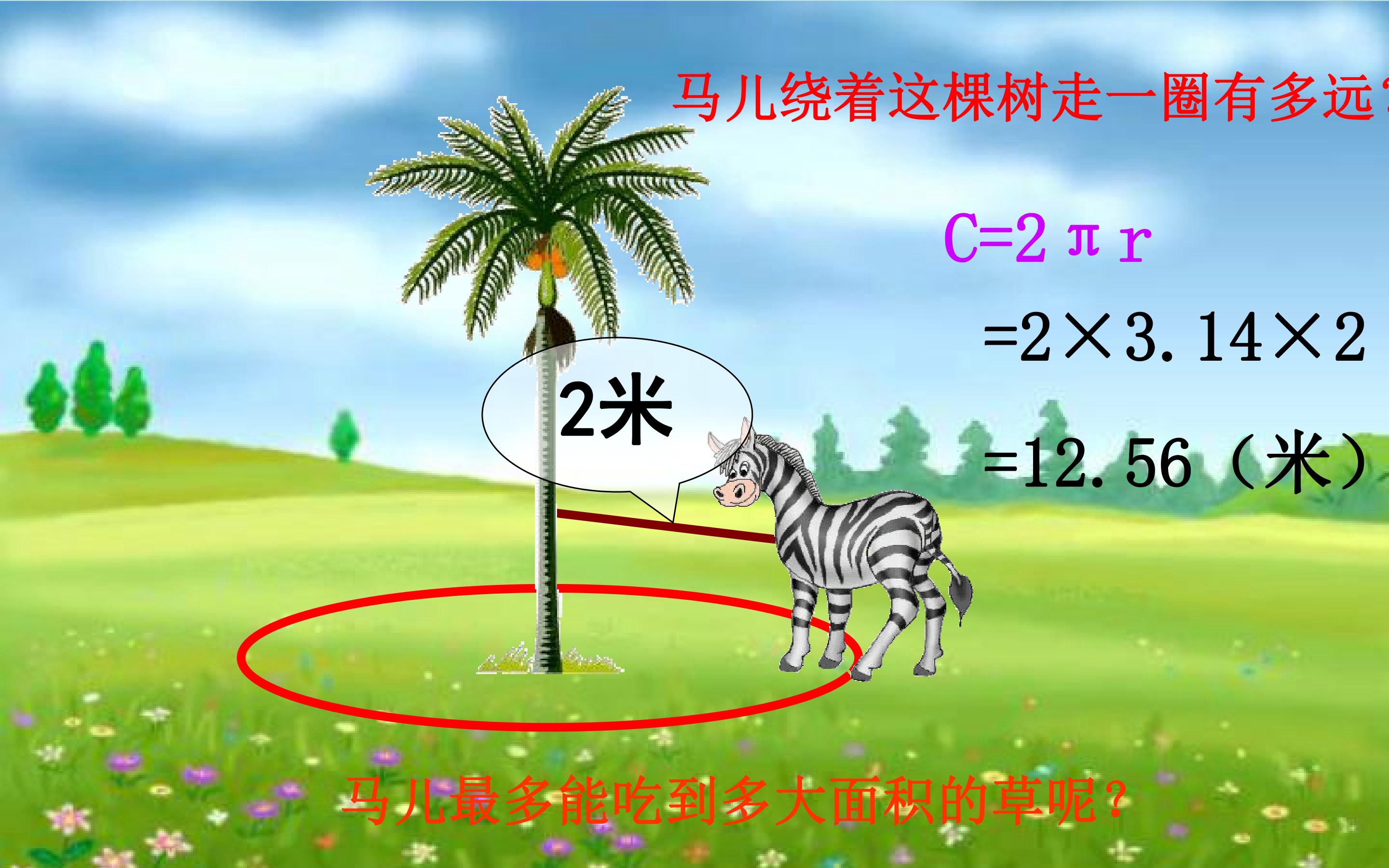 25.jpg